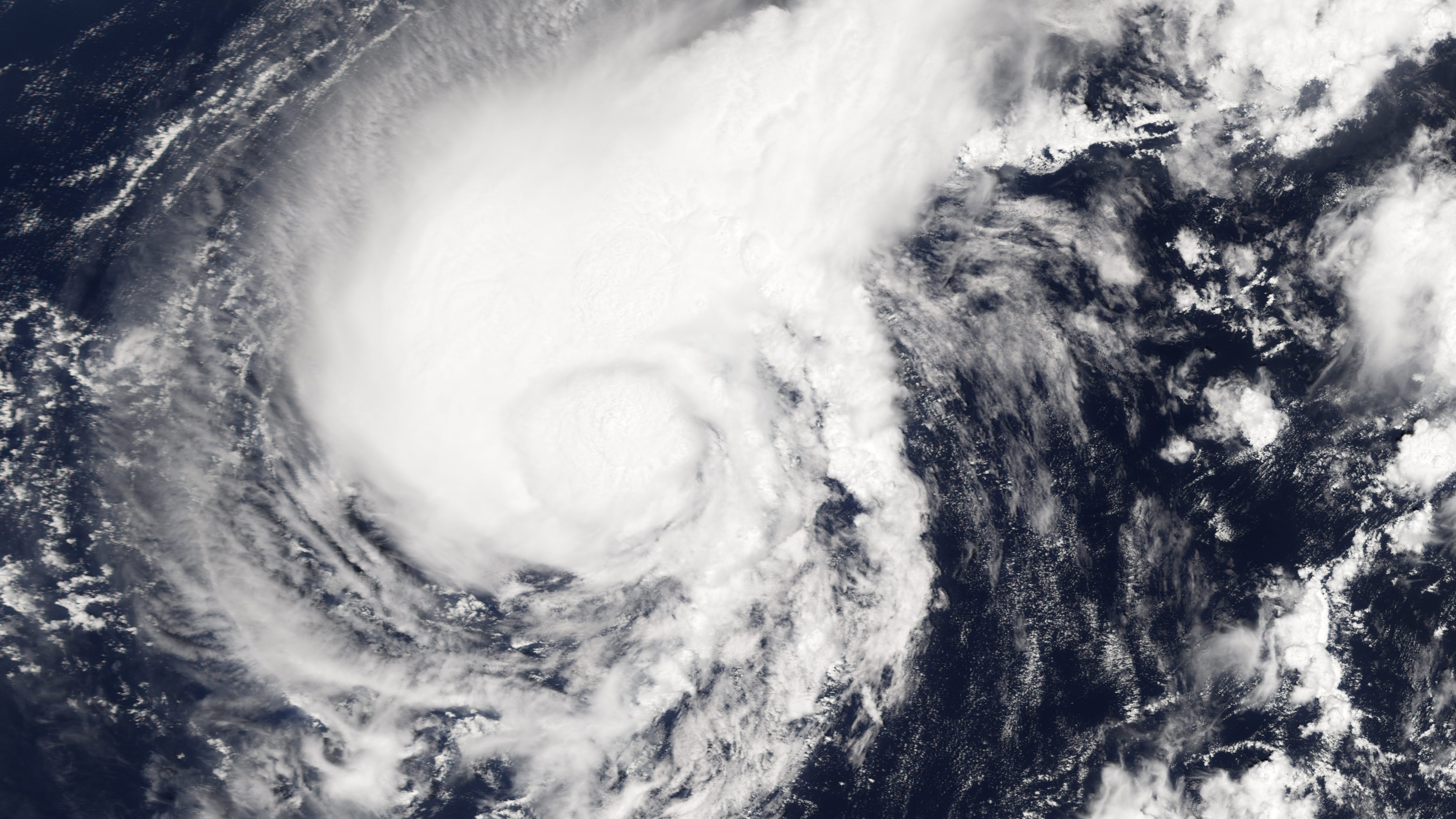 ADAI announces $14.9 million relief fund for farmers impacted by Hurricane Michael