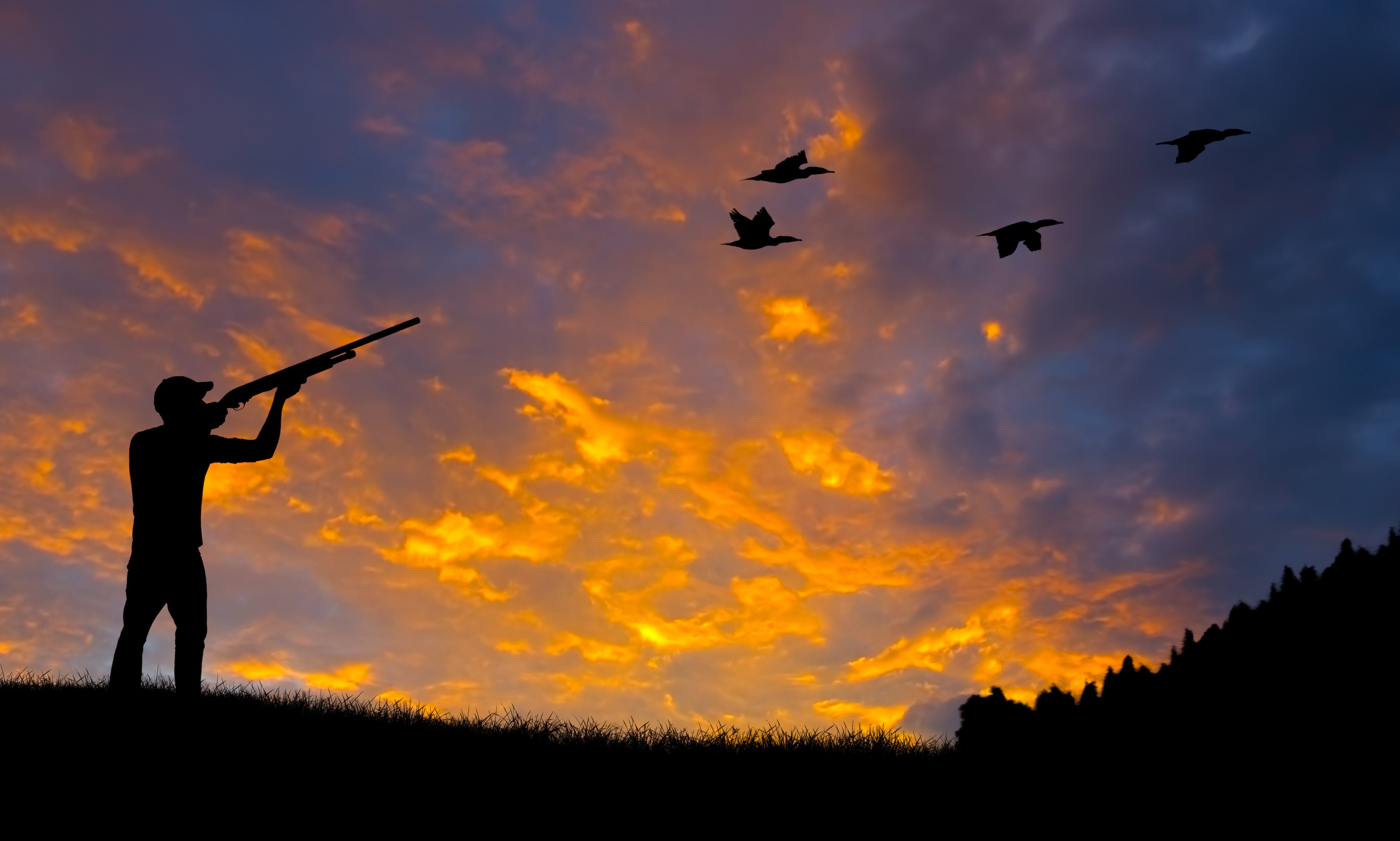 Registration for spring BOW workshop opens January 9