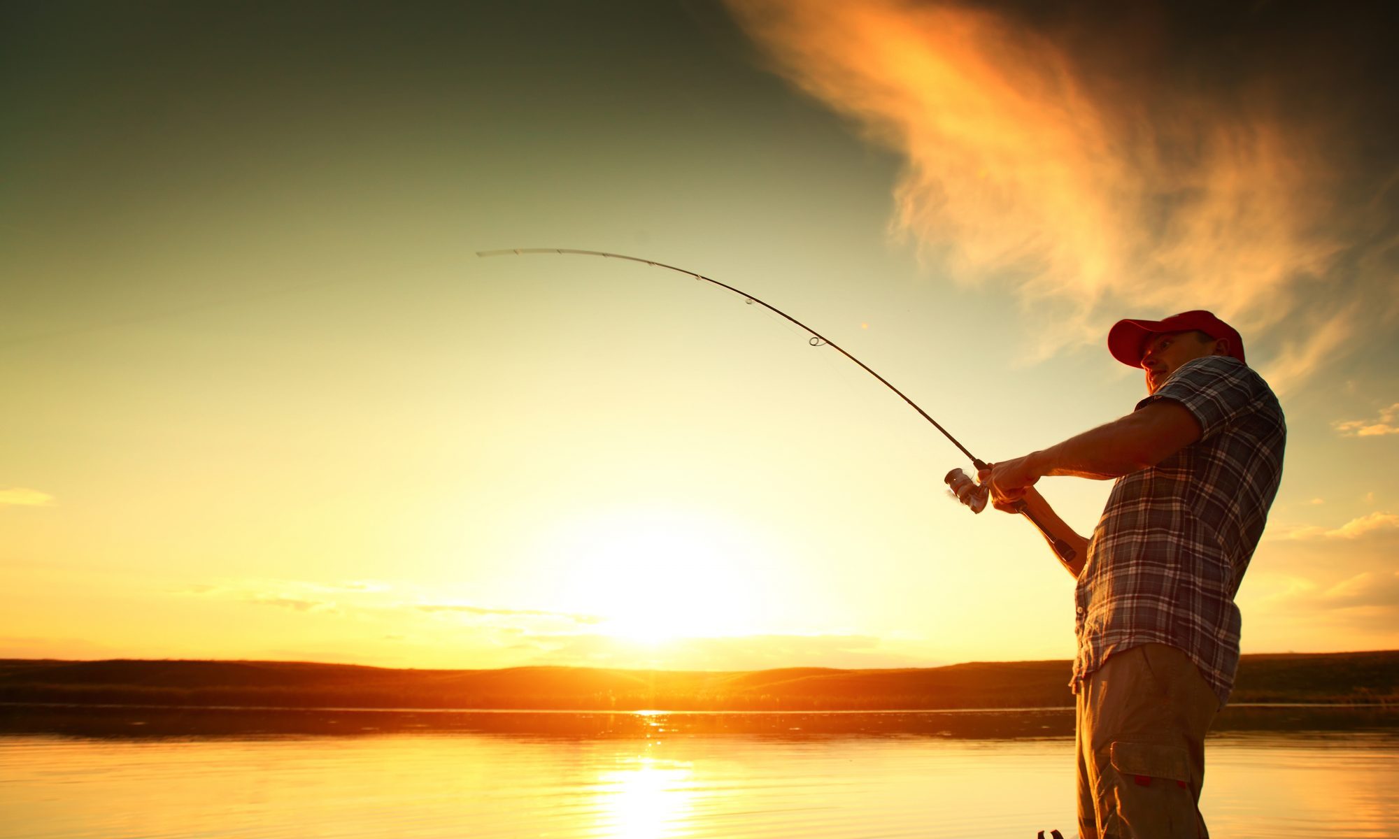 Black Belt Bounty racks up awards at Regional Outdoor Media Conferences