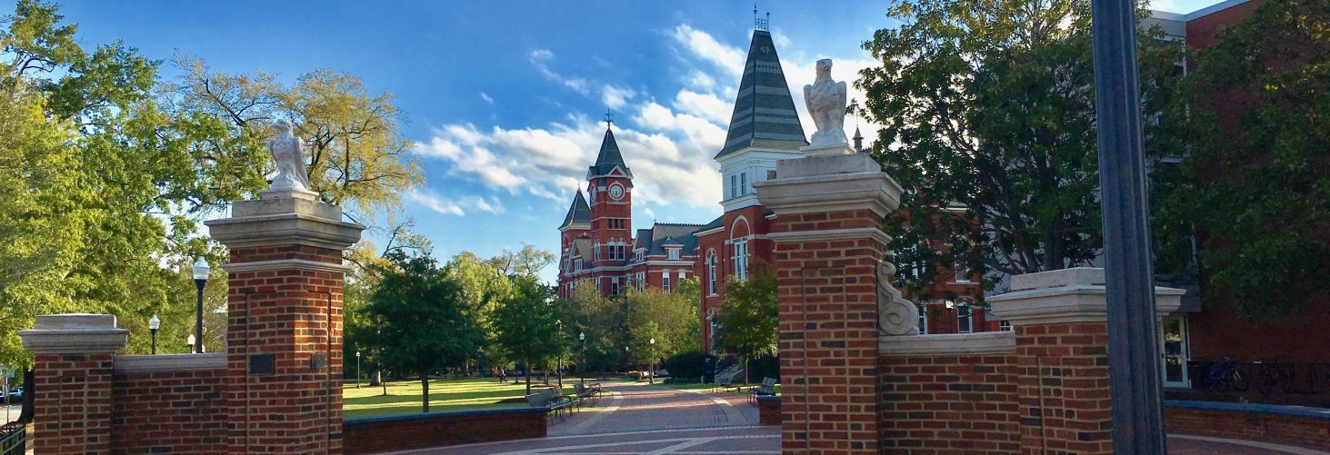 New Socialist Party is chartered in Auburn