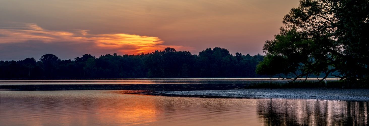 Toxic chemicals dumped in Alabama rivers