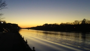 U.S. Fish and Wildlife Service: 7 Alabama endangered species lost to extinction