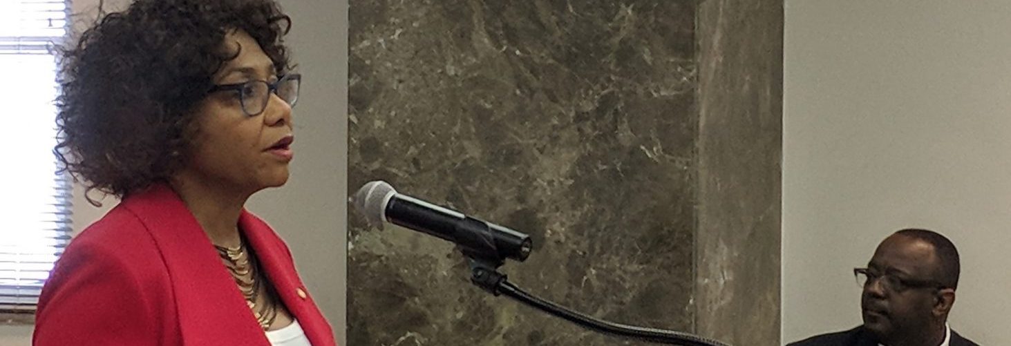 Debate over formation of city school boards dominates Senate committee meeting