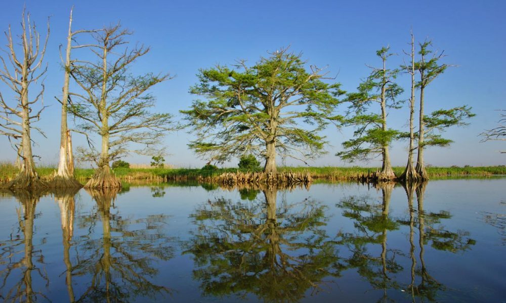 Alabama Historical Commission files admiralty claim on the Clotilda