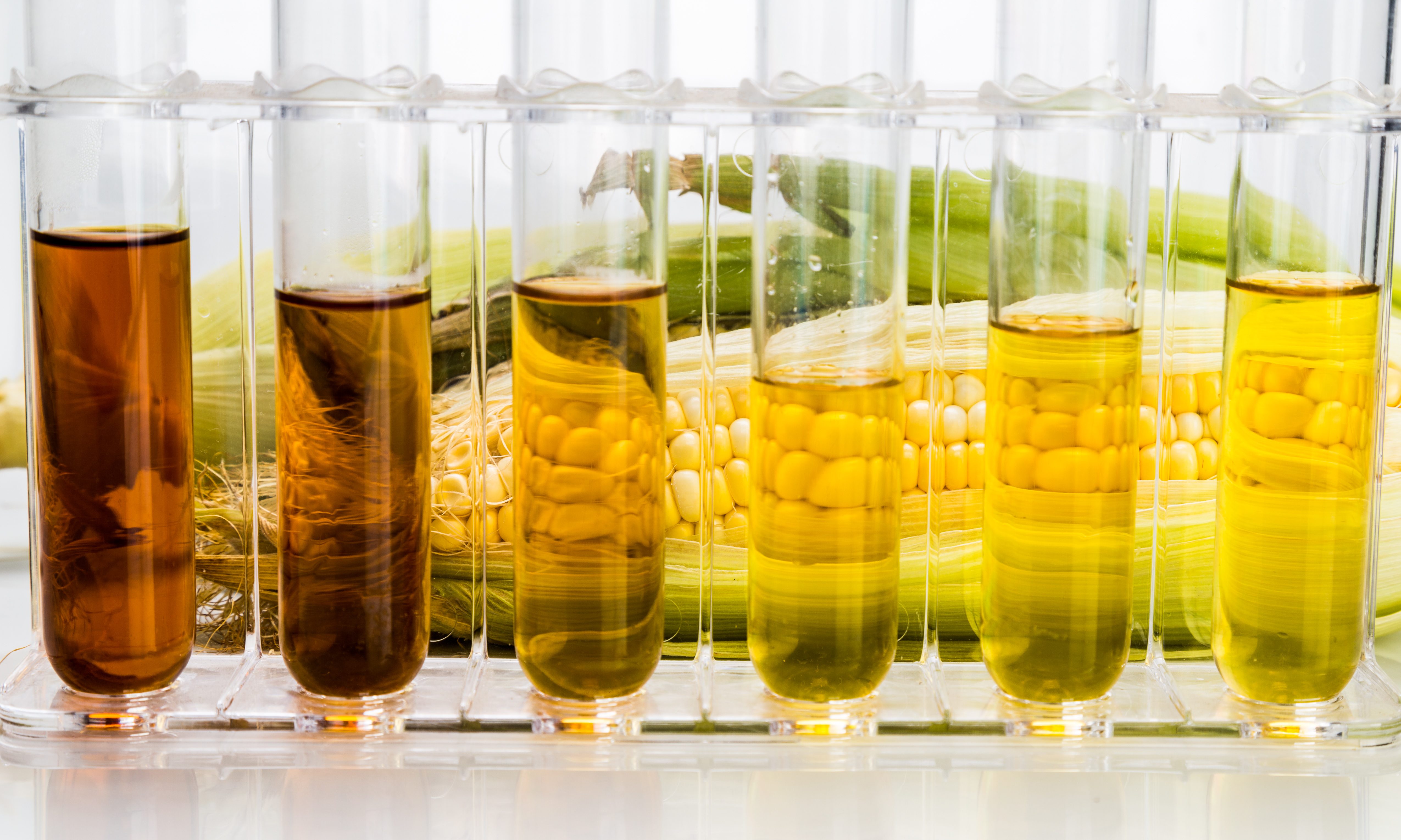Biofuels are still an important component of our energy mix