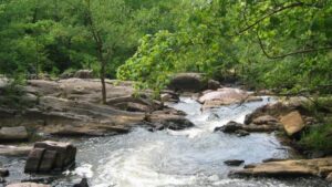 Drought assessment committee discusses end of year climate data