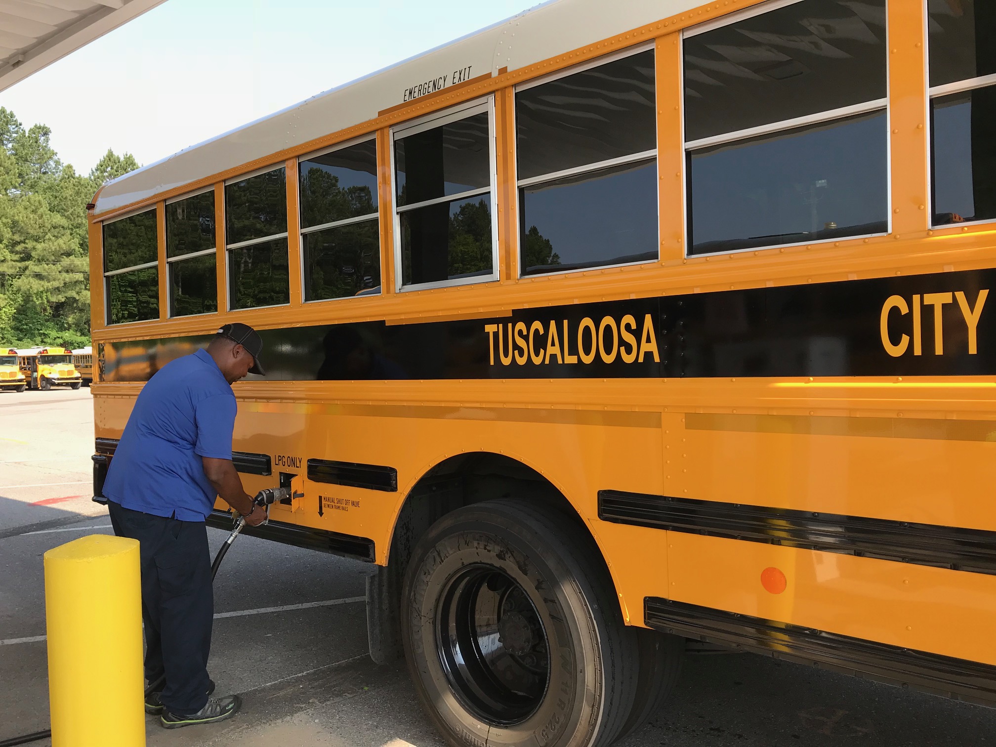 Do career interest surveys make a difference?