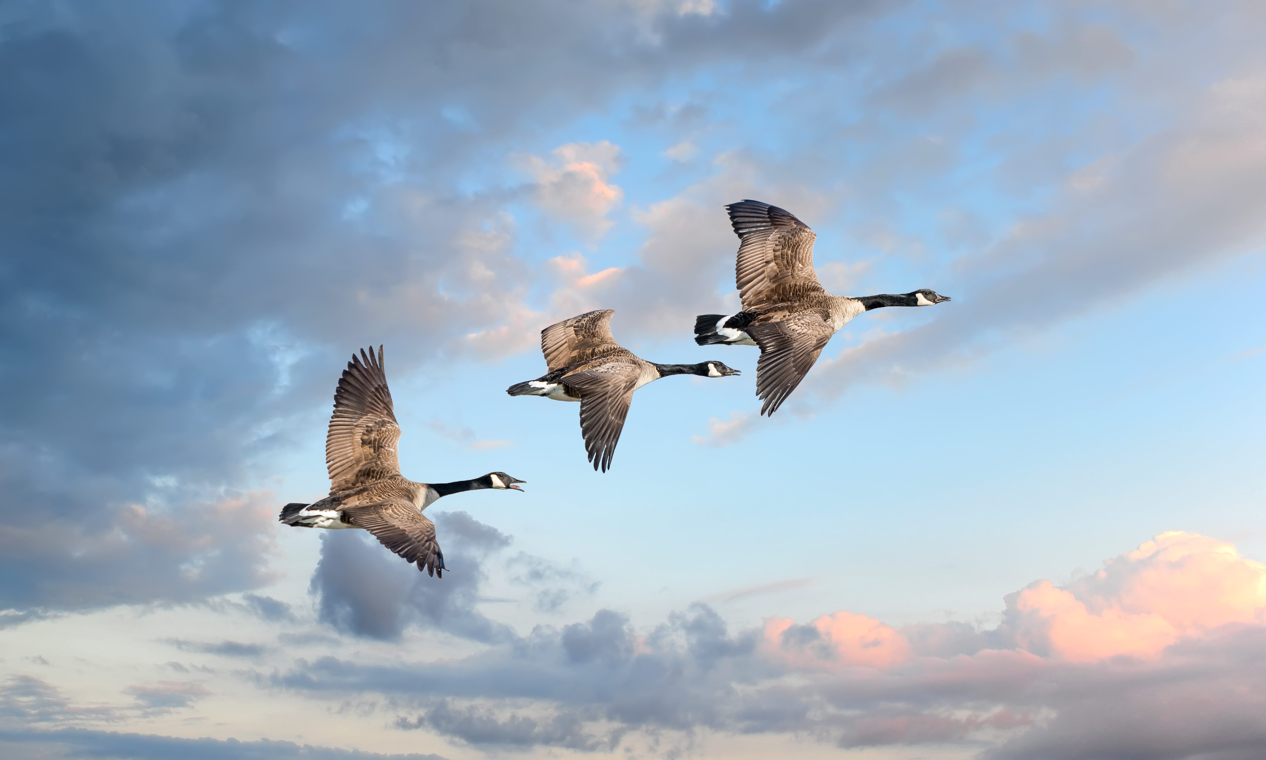 It’s hunting season