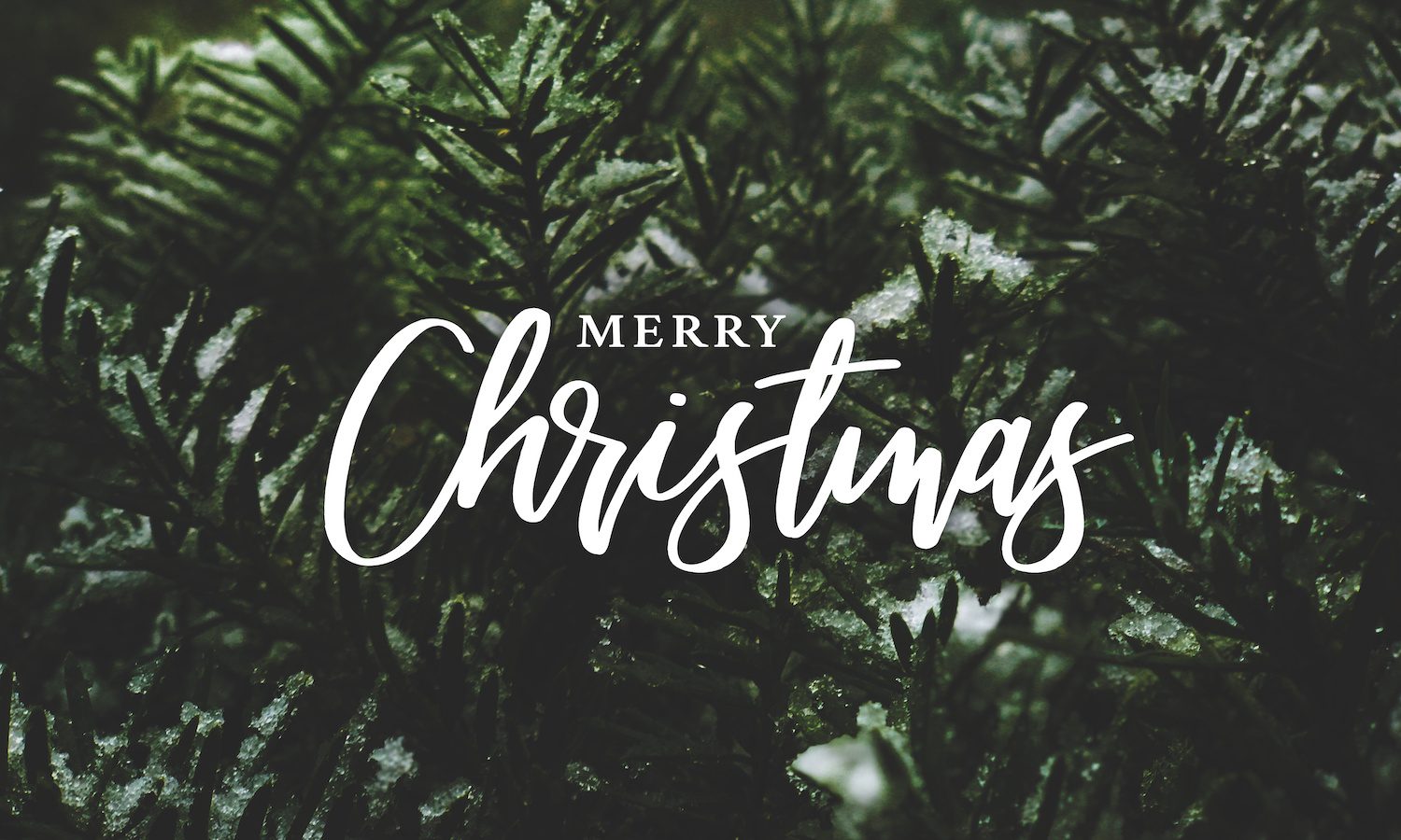 The history of Christmas