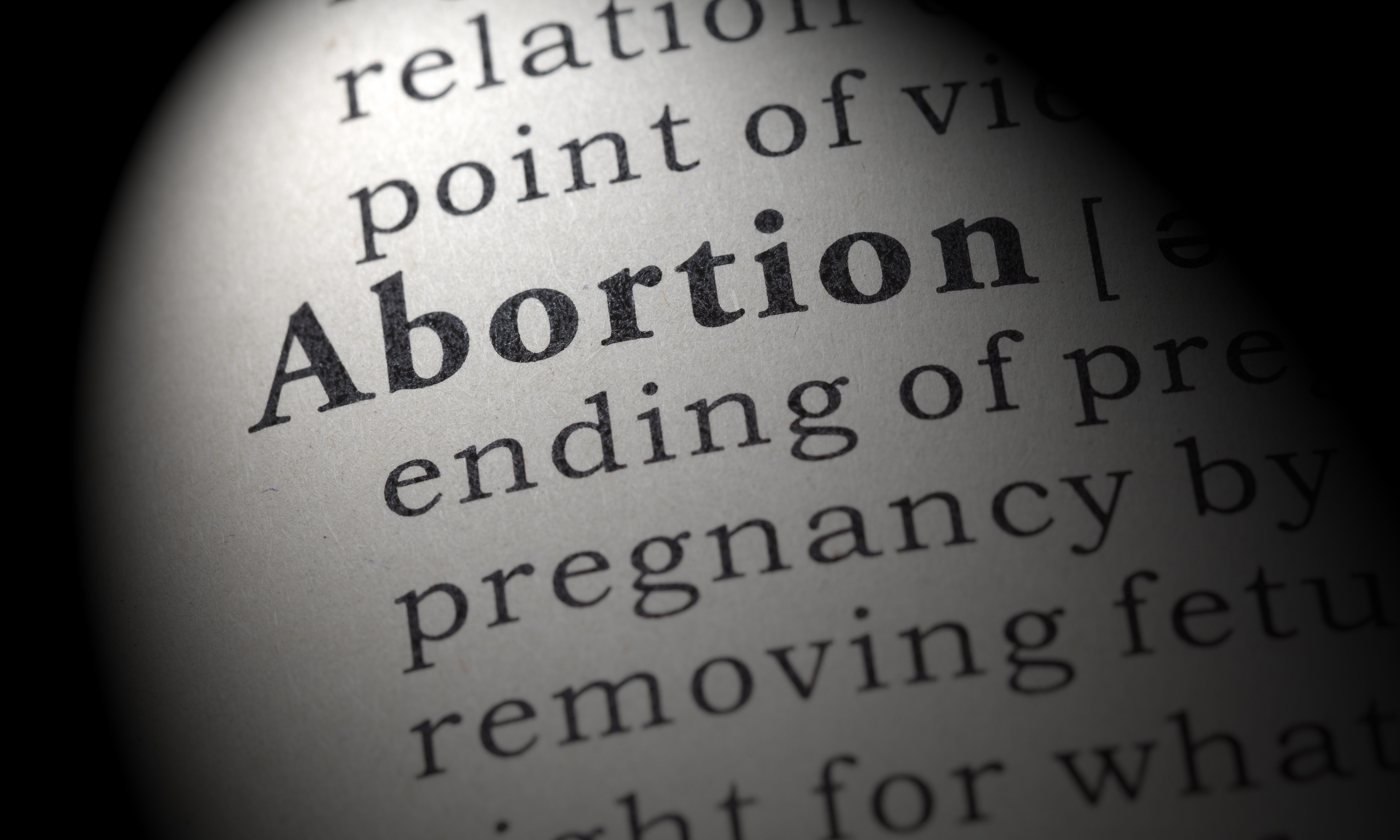 Palmer and Norman introduce bill to requiring accurate abortion reporting