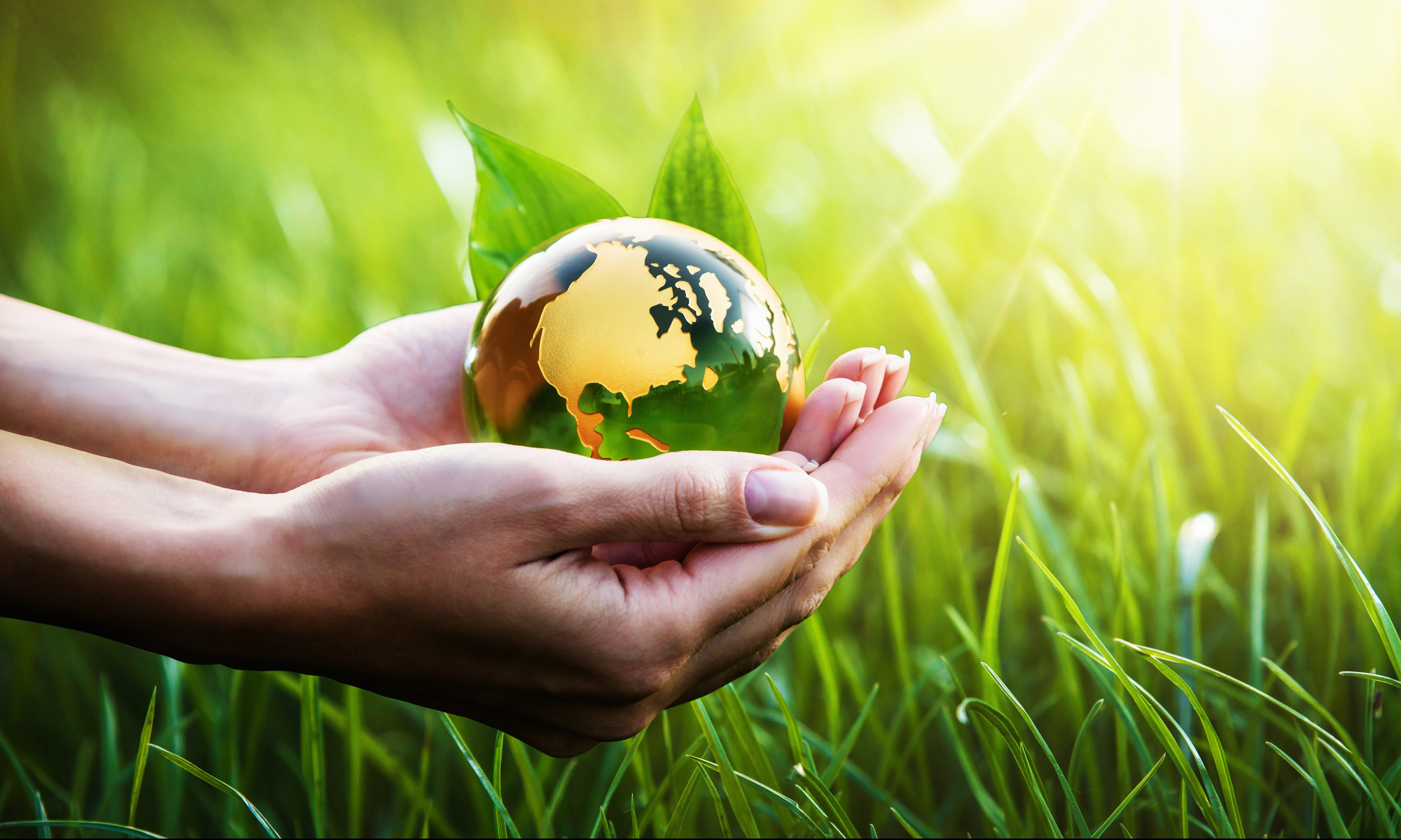 Power company announces ash pond clean-up, some still not satisfied