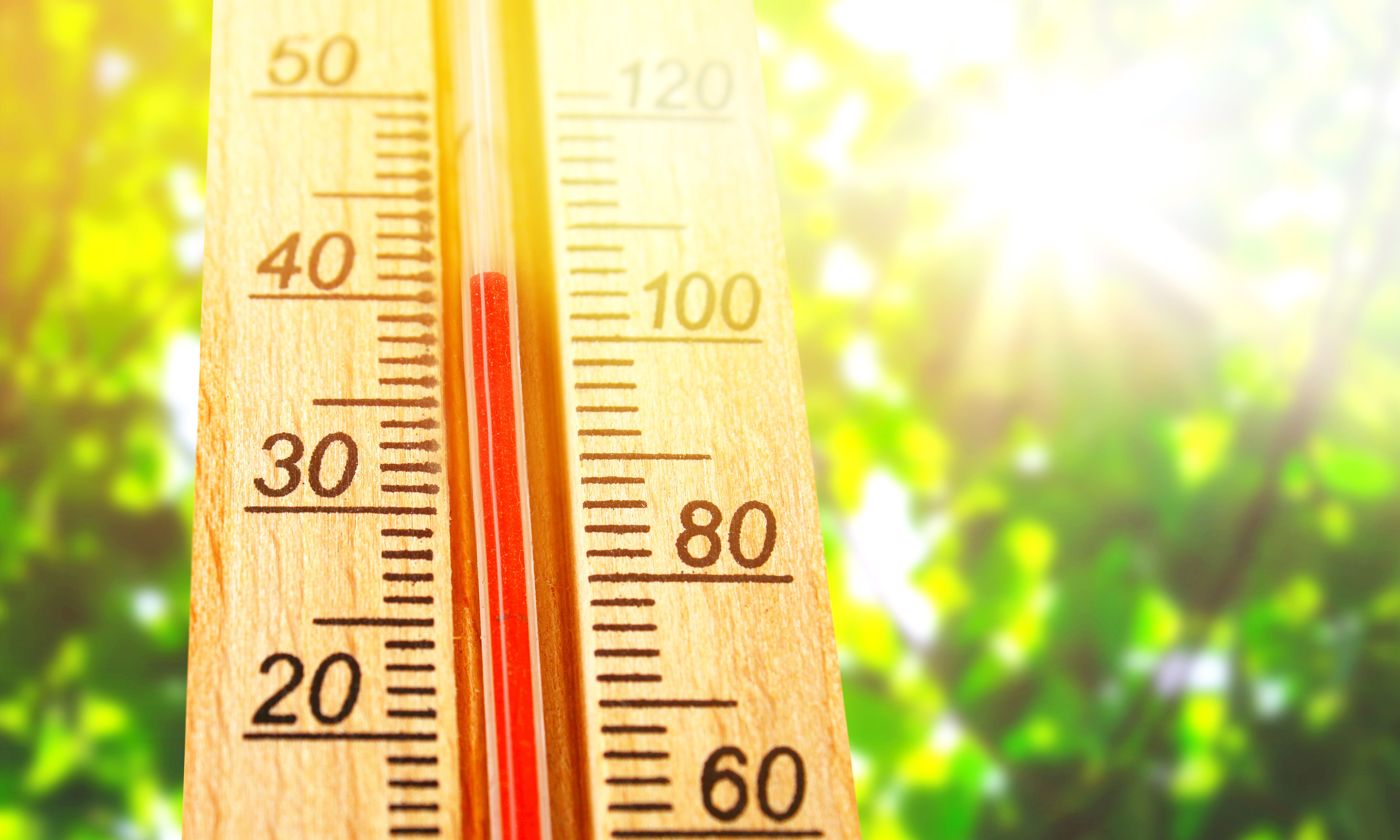 Trump-backed cuts threaten lifeline utility aid program