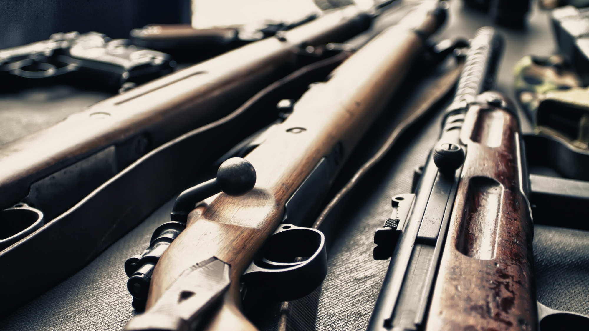 Gun reform advocates in Alabama warn of dangerous overlap between lax laws, extremists