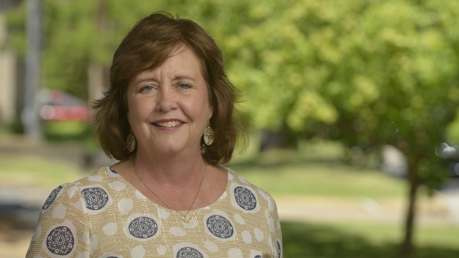 Charlotte Meadows wins House District 74 special election