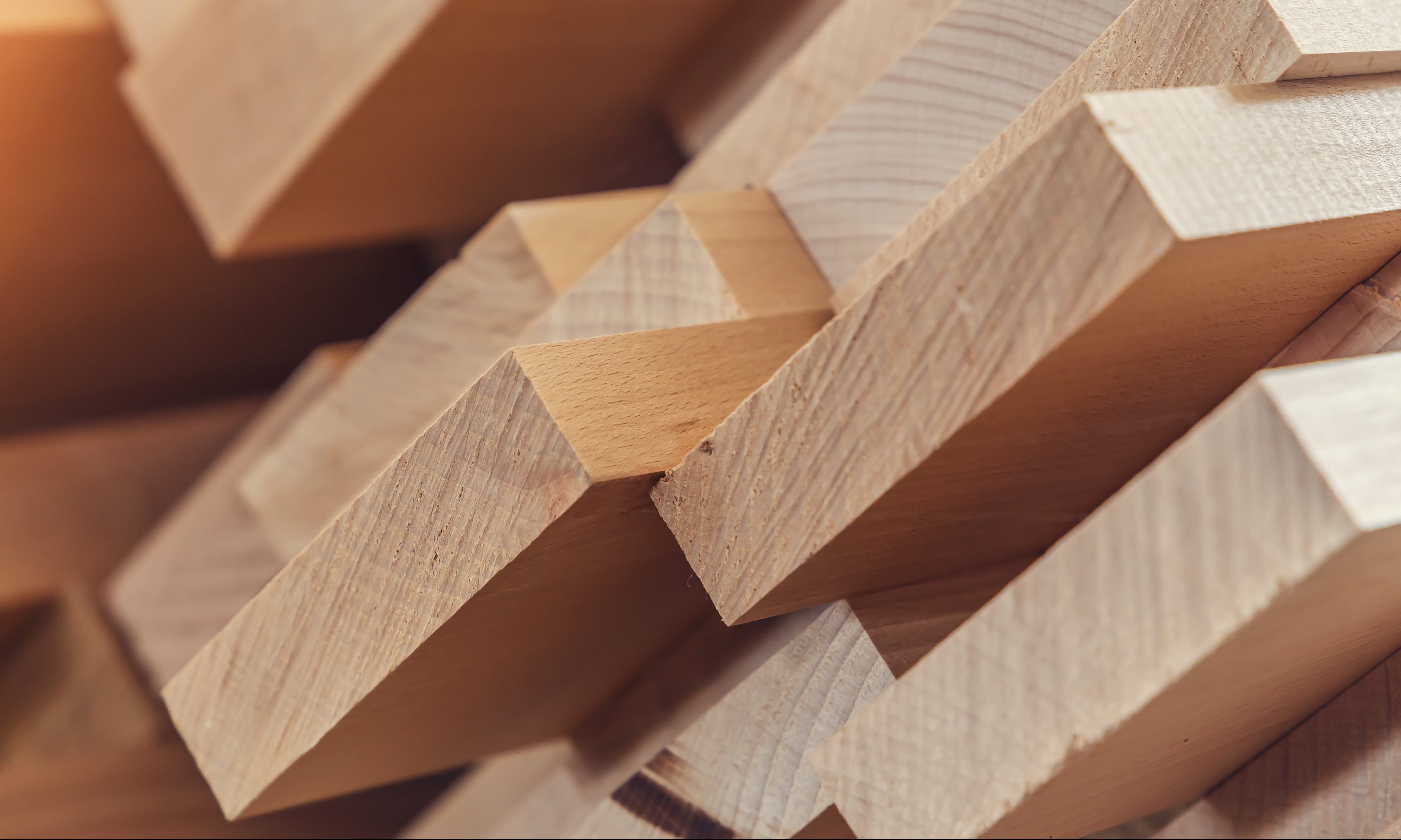 State of the art sawmill opens in Henry County