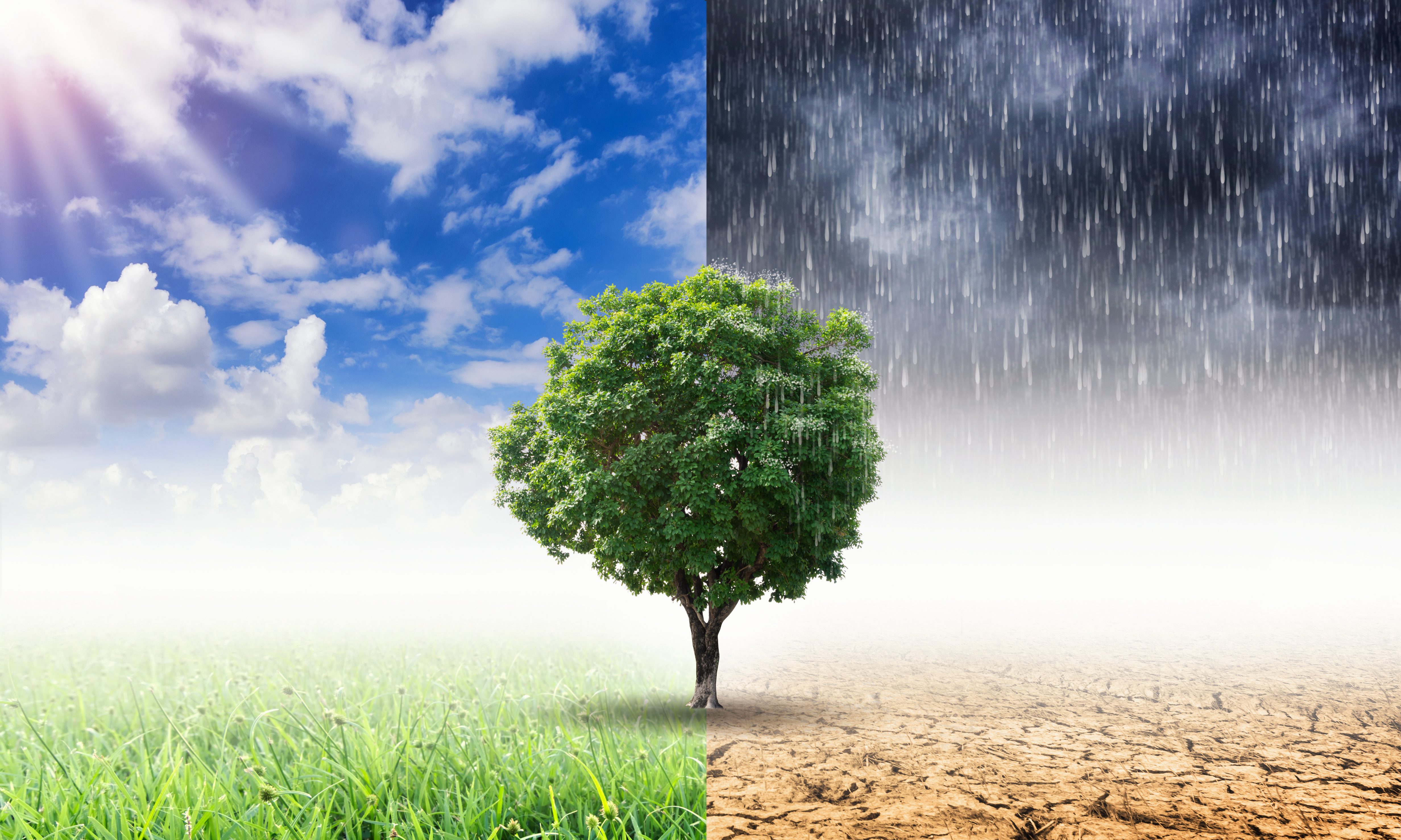 Goldman Sachs report analyzes climate change impacts