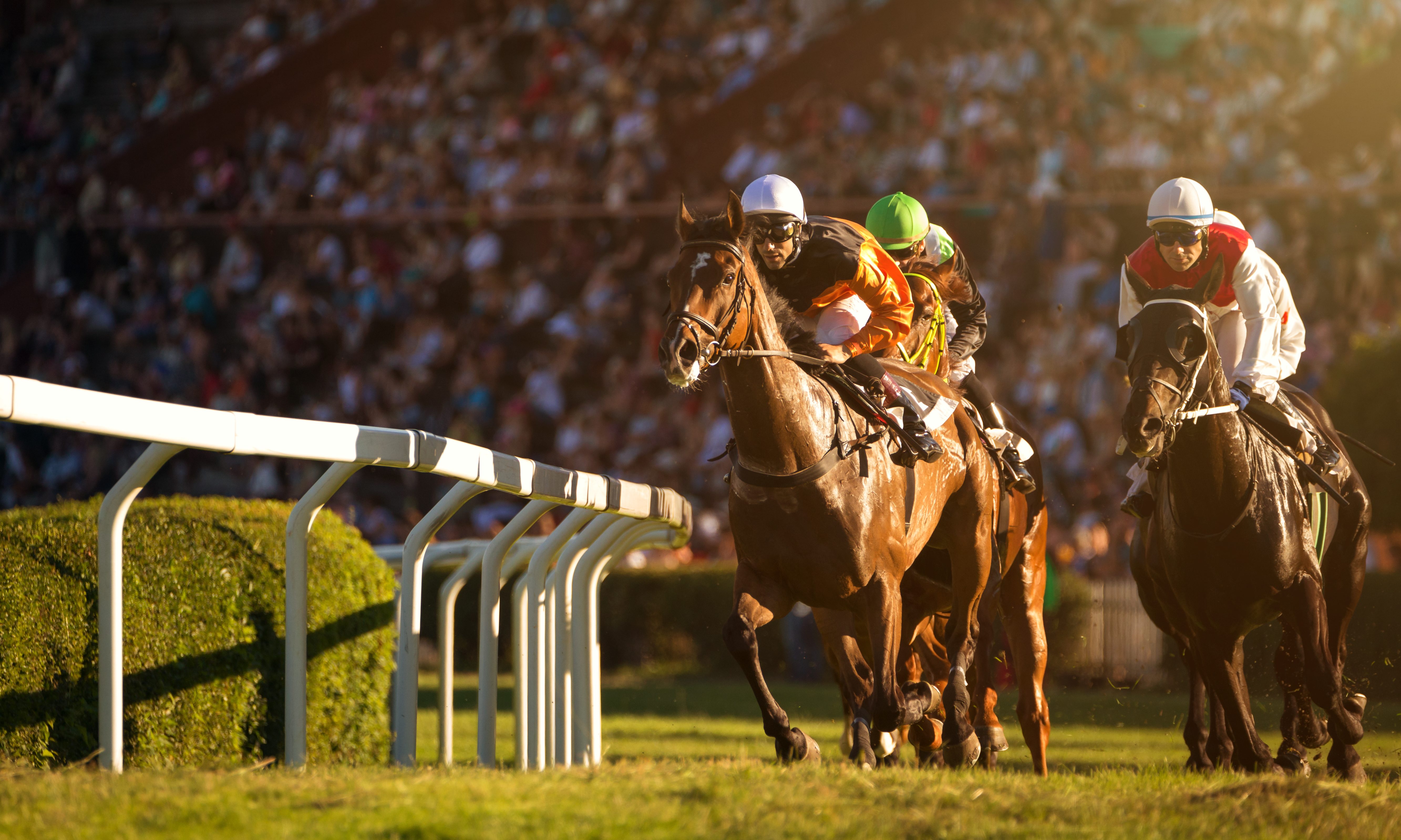 Response to Giles’ “Unleashing Secretariat” op-ed from Chenery/Tweedy family