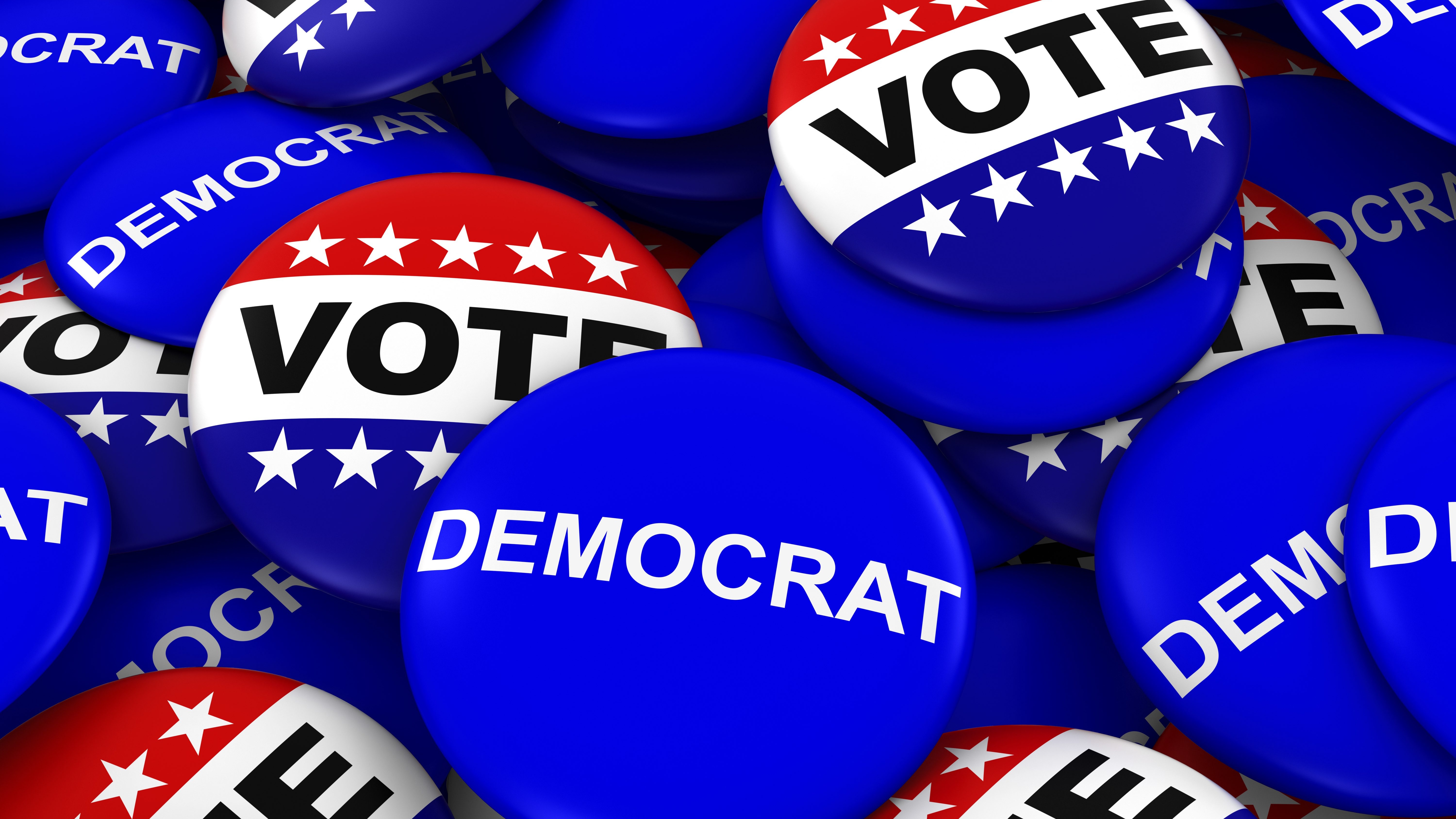 Democrats to hold training boot camp on Saturday