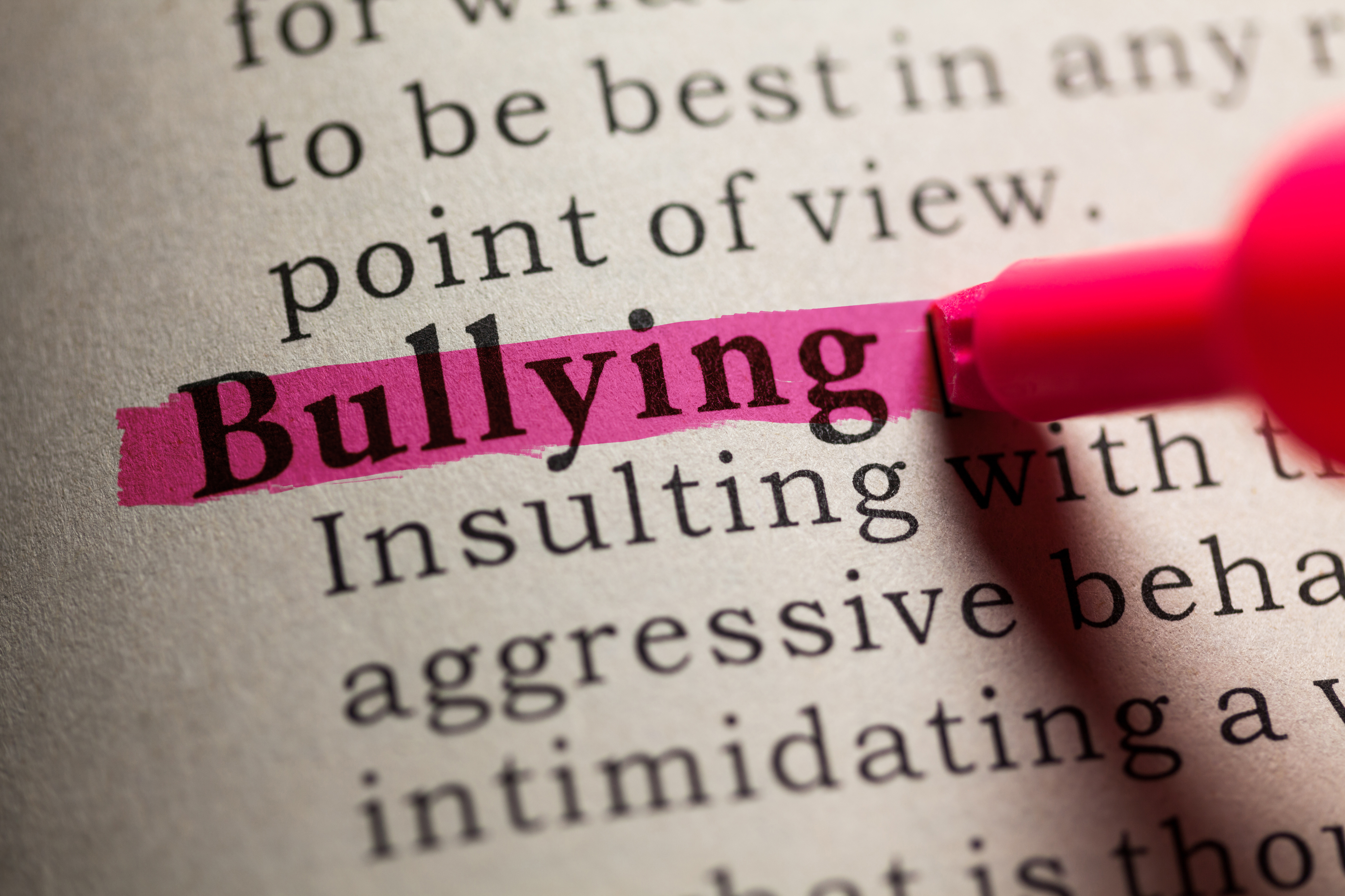 We should hold the appropriate people responsible for bullying