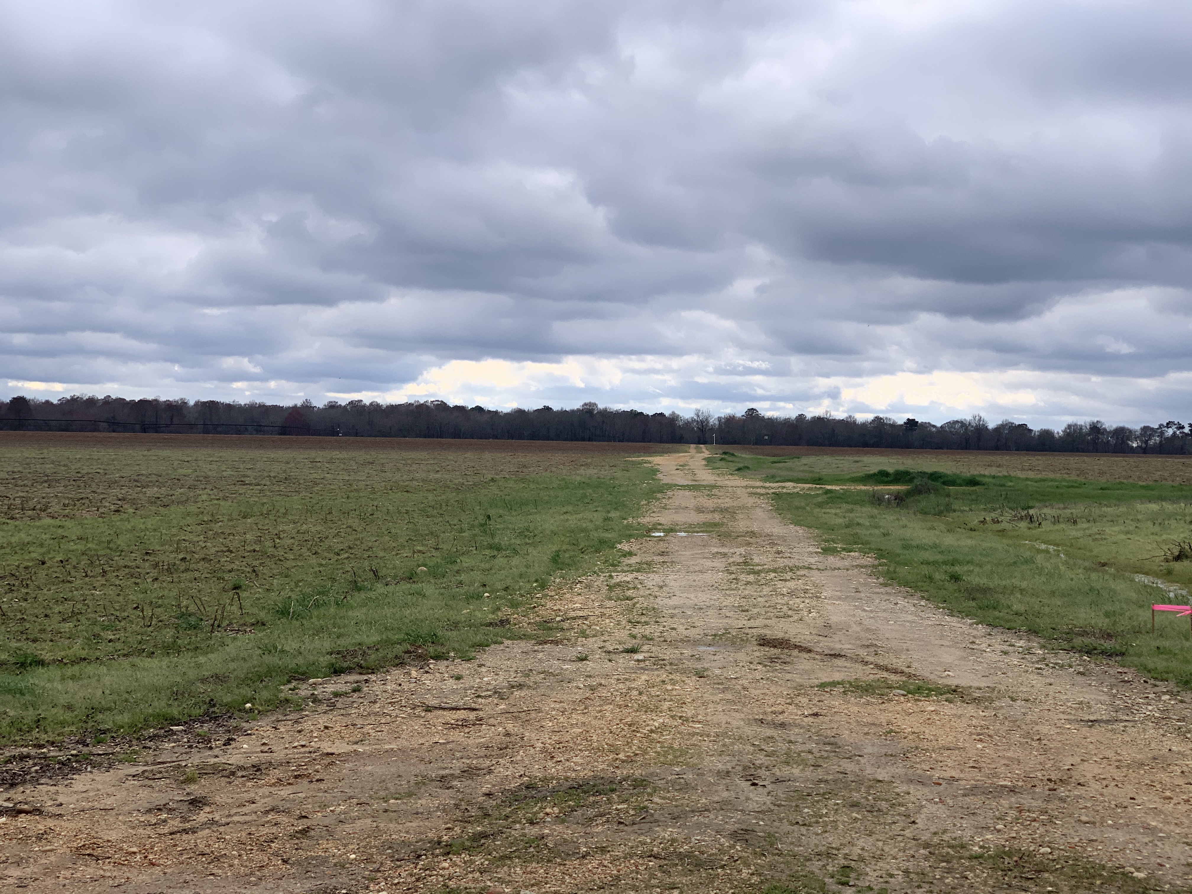 Private prison company eyes Elmore County land for one of state’s new prisons