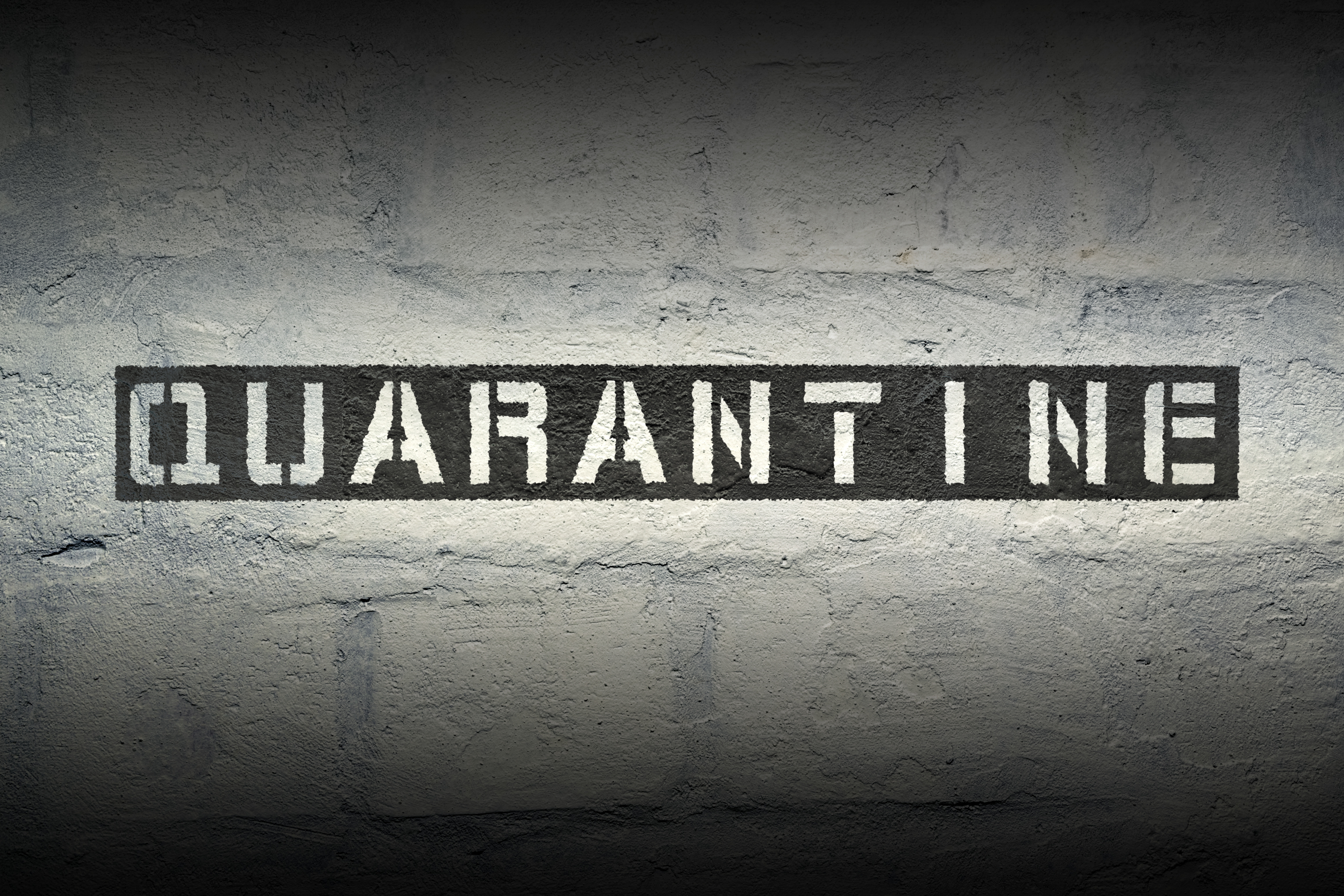 U.S. government report predicts 18 months of COVID-19 outbreak in America