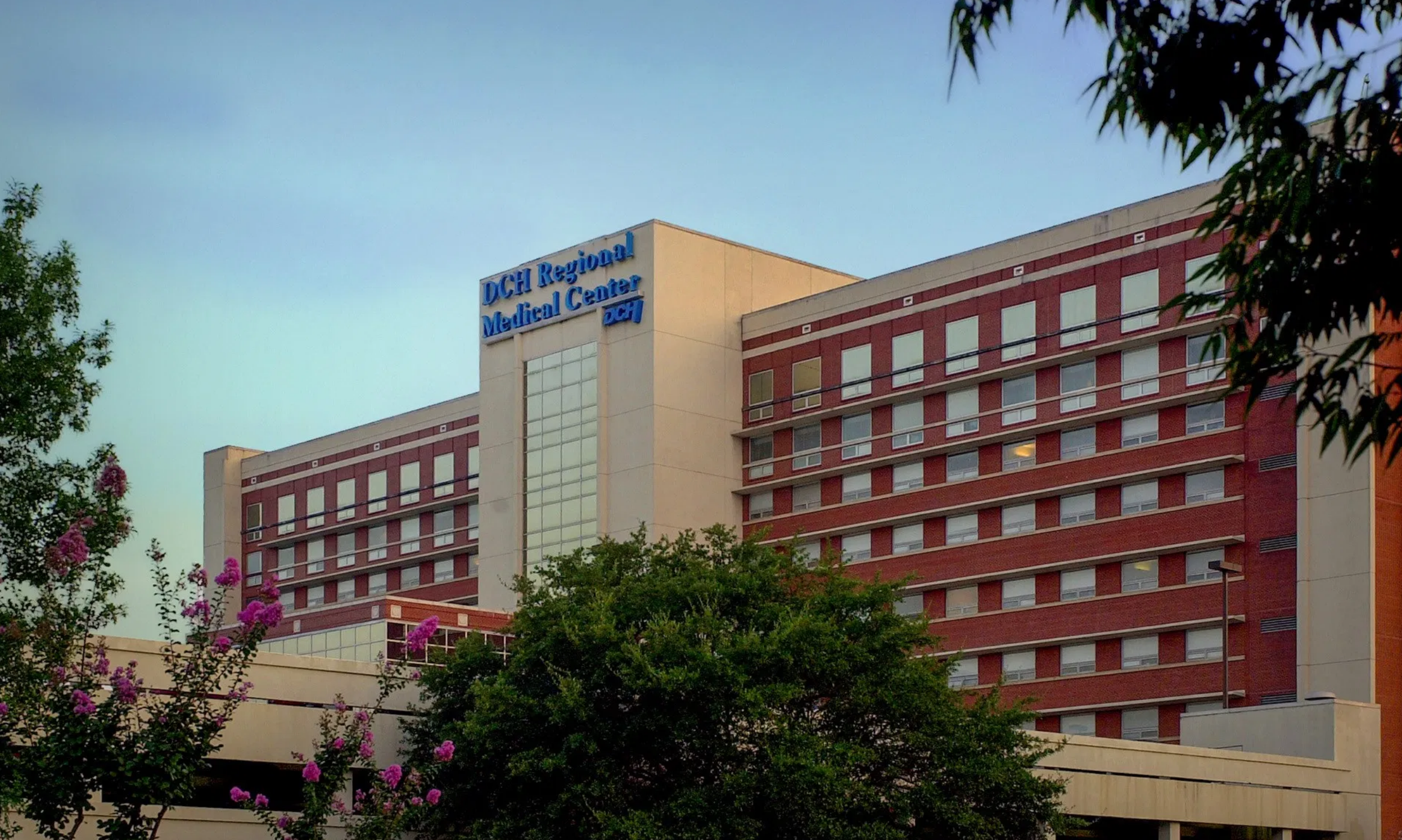 DCH in need of touchless thermometer donations