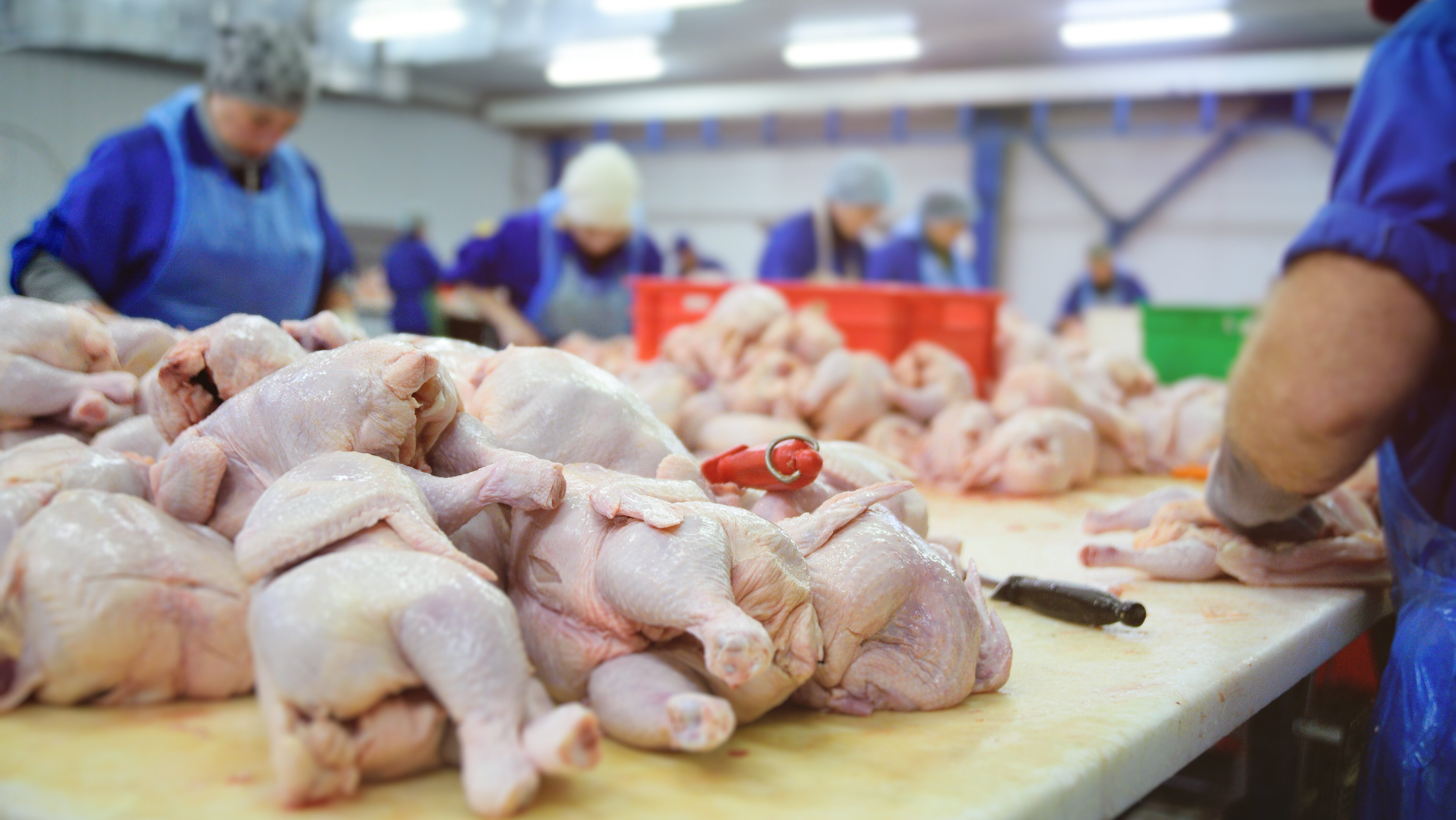 Trump to order meat-processing plants to remain open