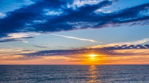Material for oyster restoration project reaches Dauphin Island destination