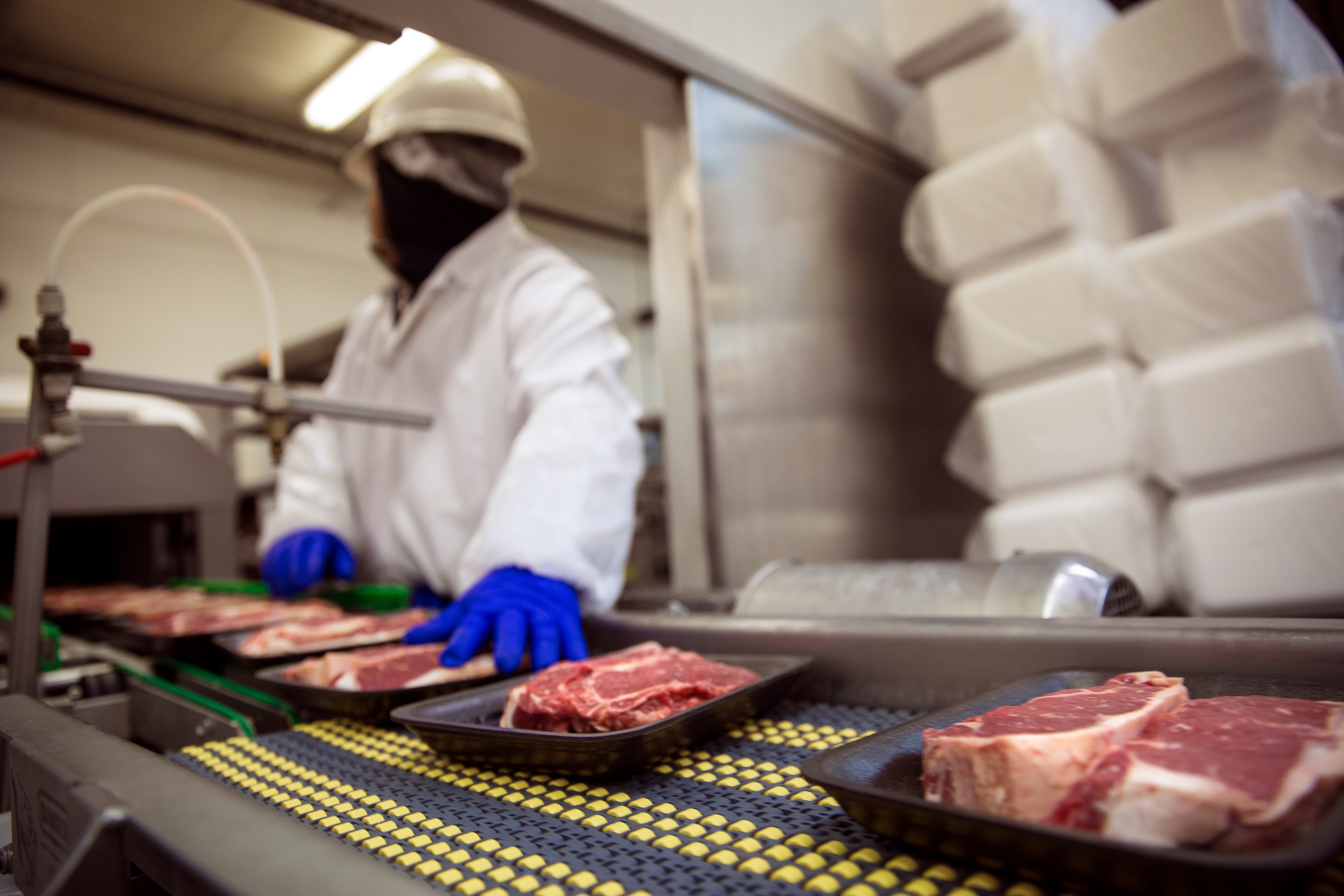 Ranchers group supports president’s order to keep meatpackers operating