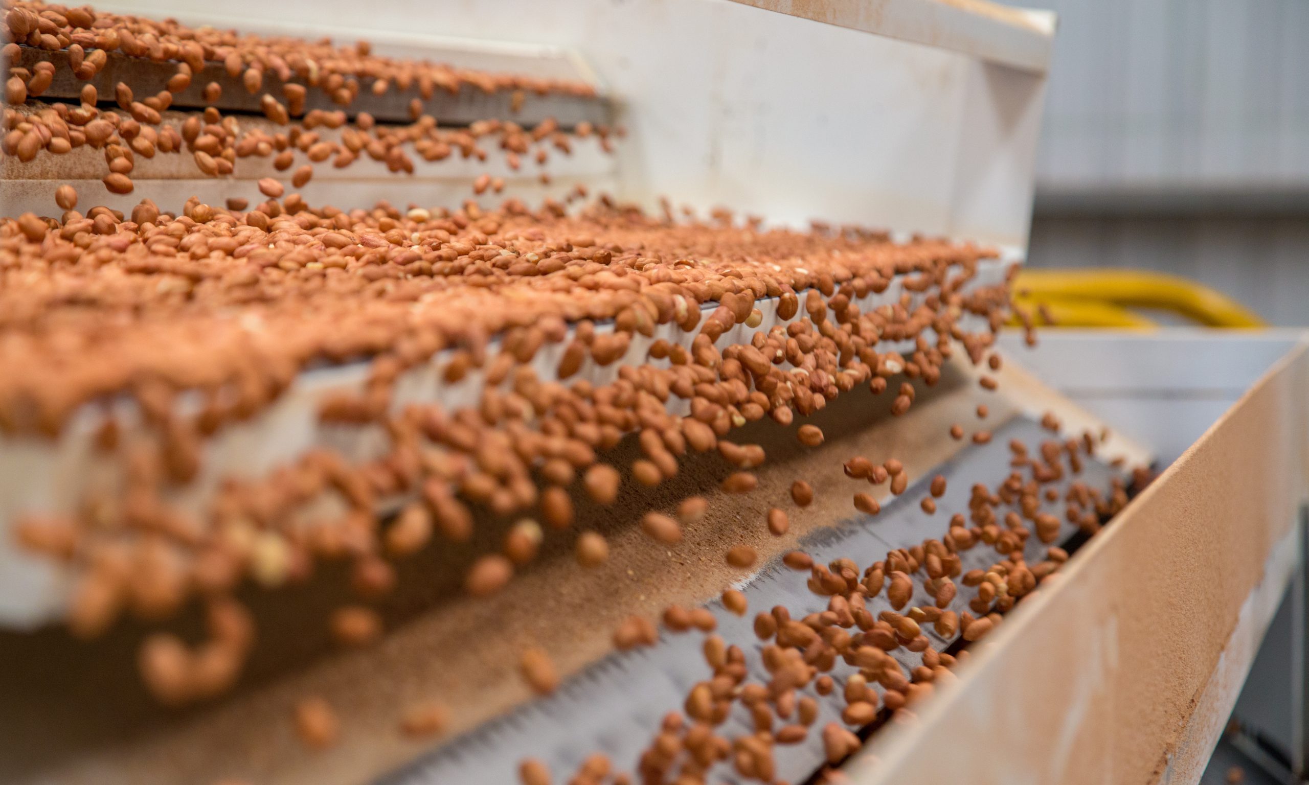 Gov. Kay Ivey announces $87 million peanut shelling plant coming to Atmore