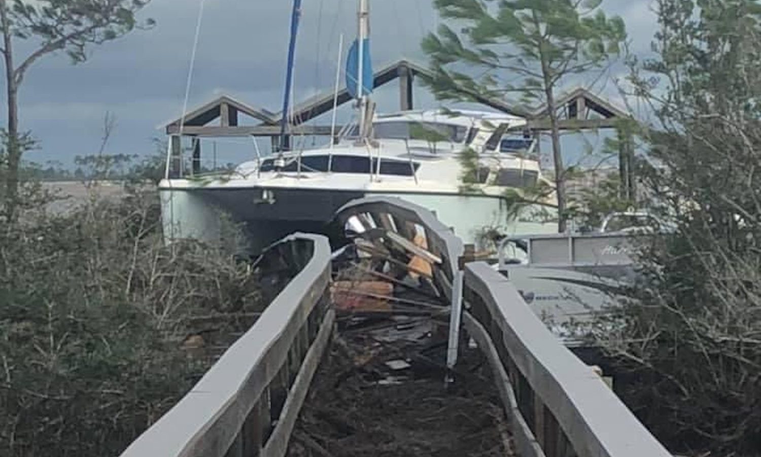 Officials warn against unlicensed, unscrupulous contractors in Sally’s wake