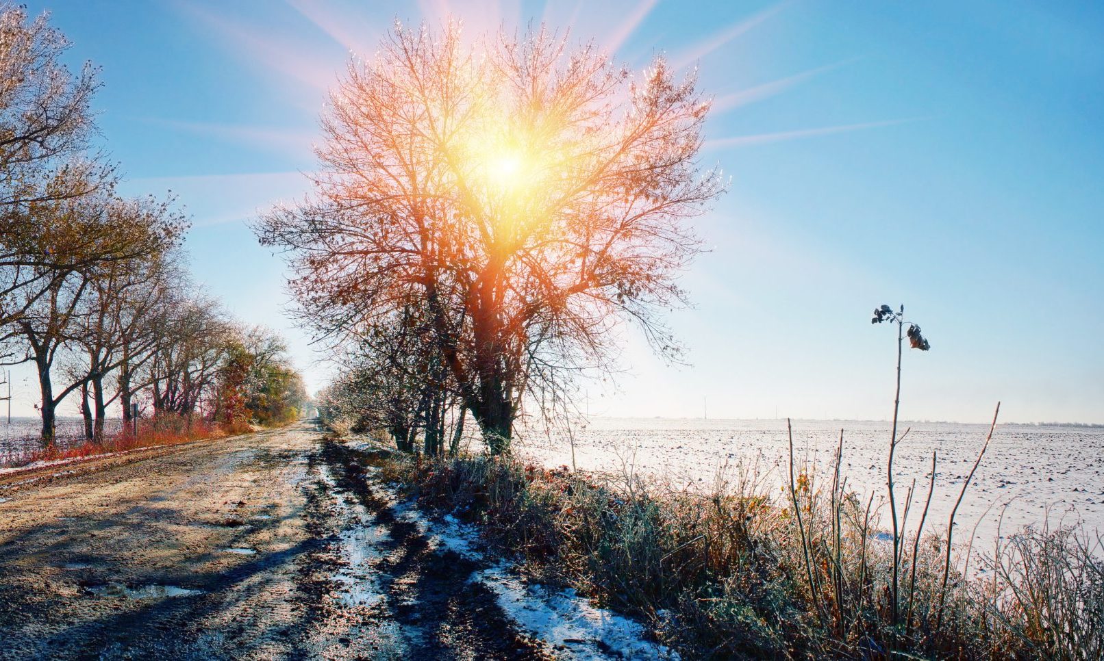 Freeze warning Monday night into Tuesday morning