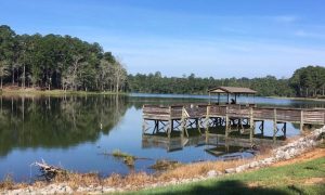 Pike County Public Fishing Lake will be temporarily closed beginning December 23