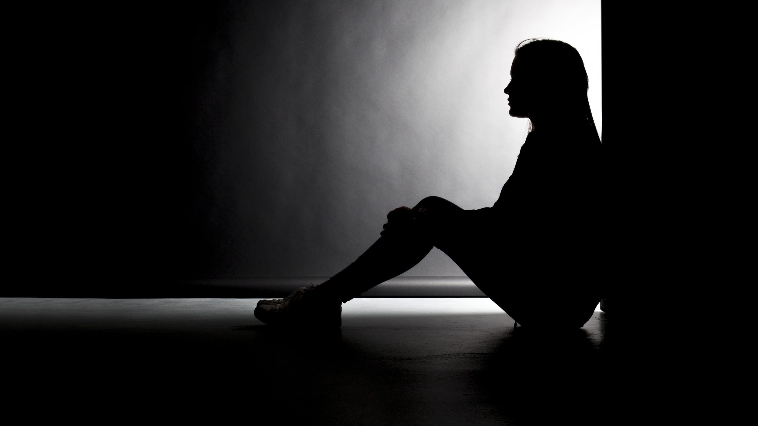 Governor allocated funds to assist domestic violence victims