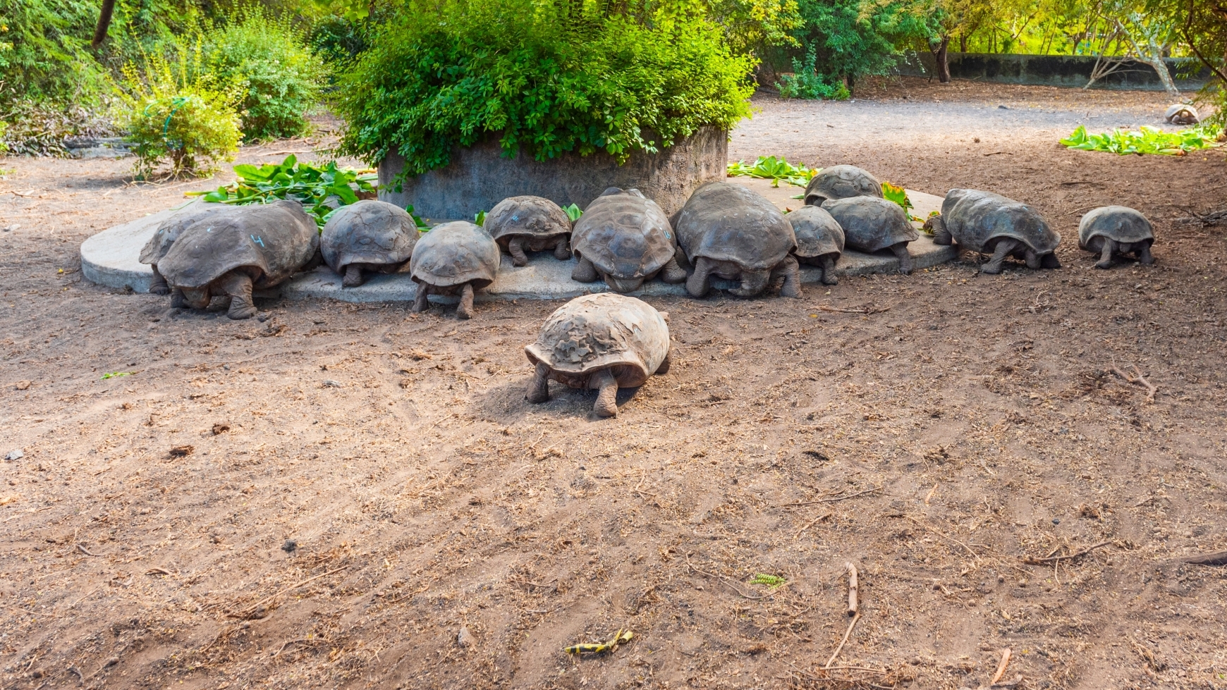 Herding turtles, power plays and some really silly ideas