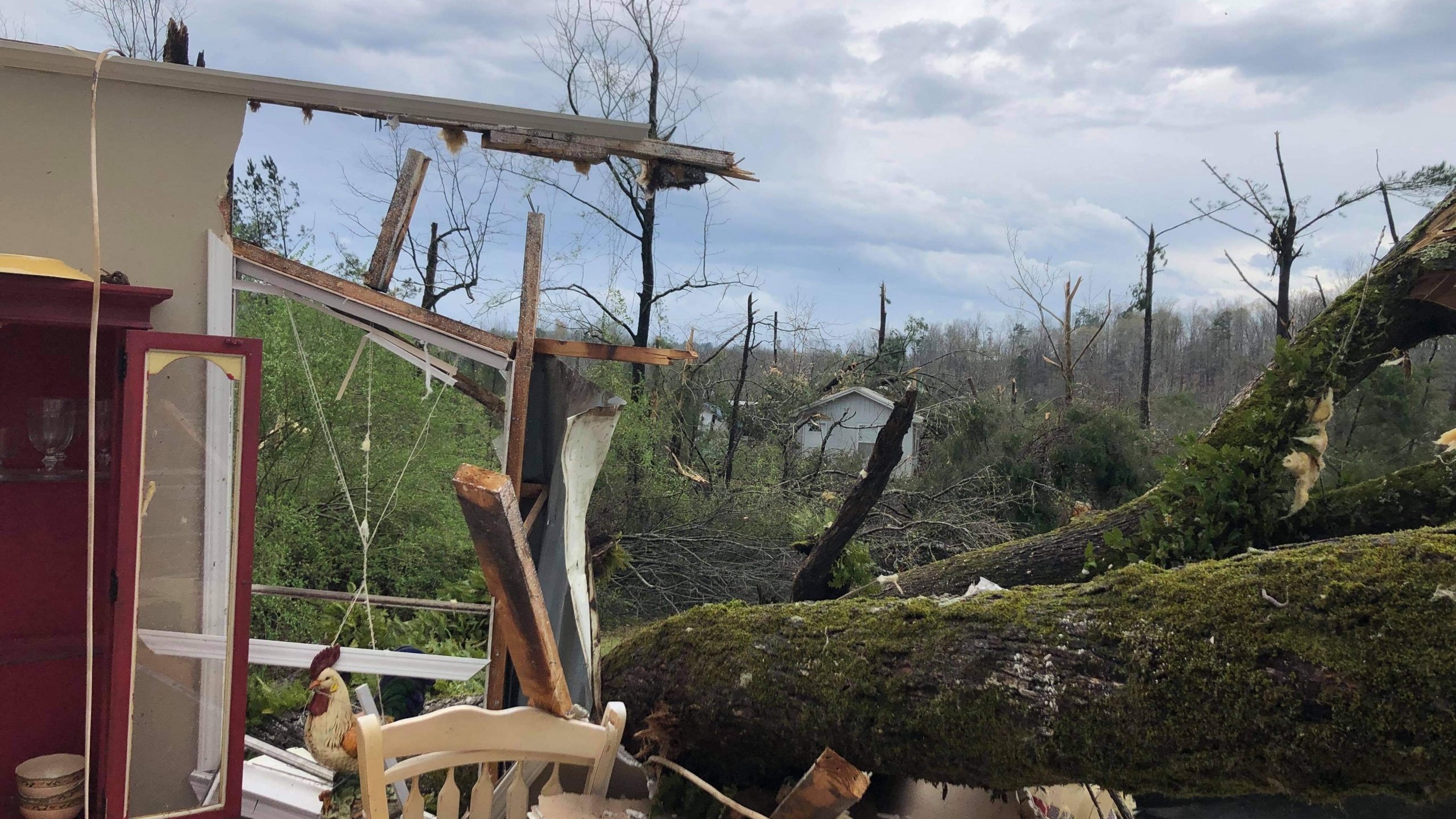 Alabama rocked by severe weather