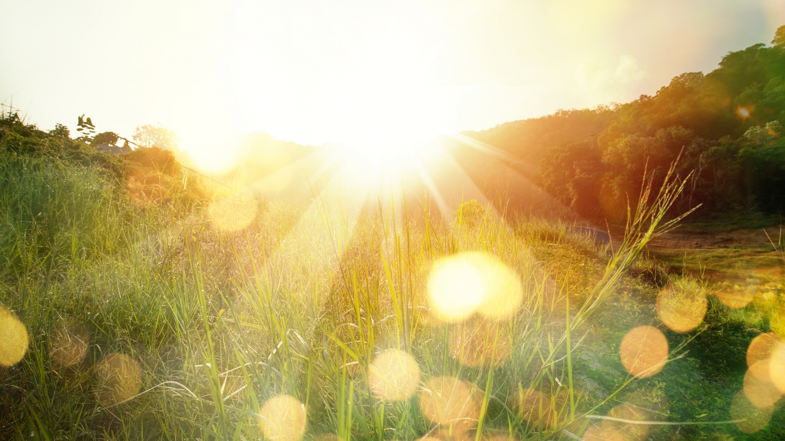 Looking forward. It’s all there is