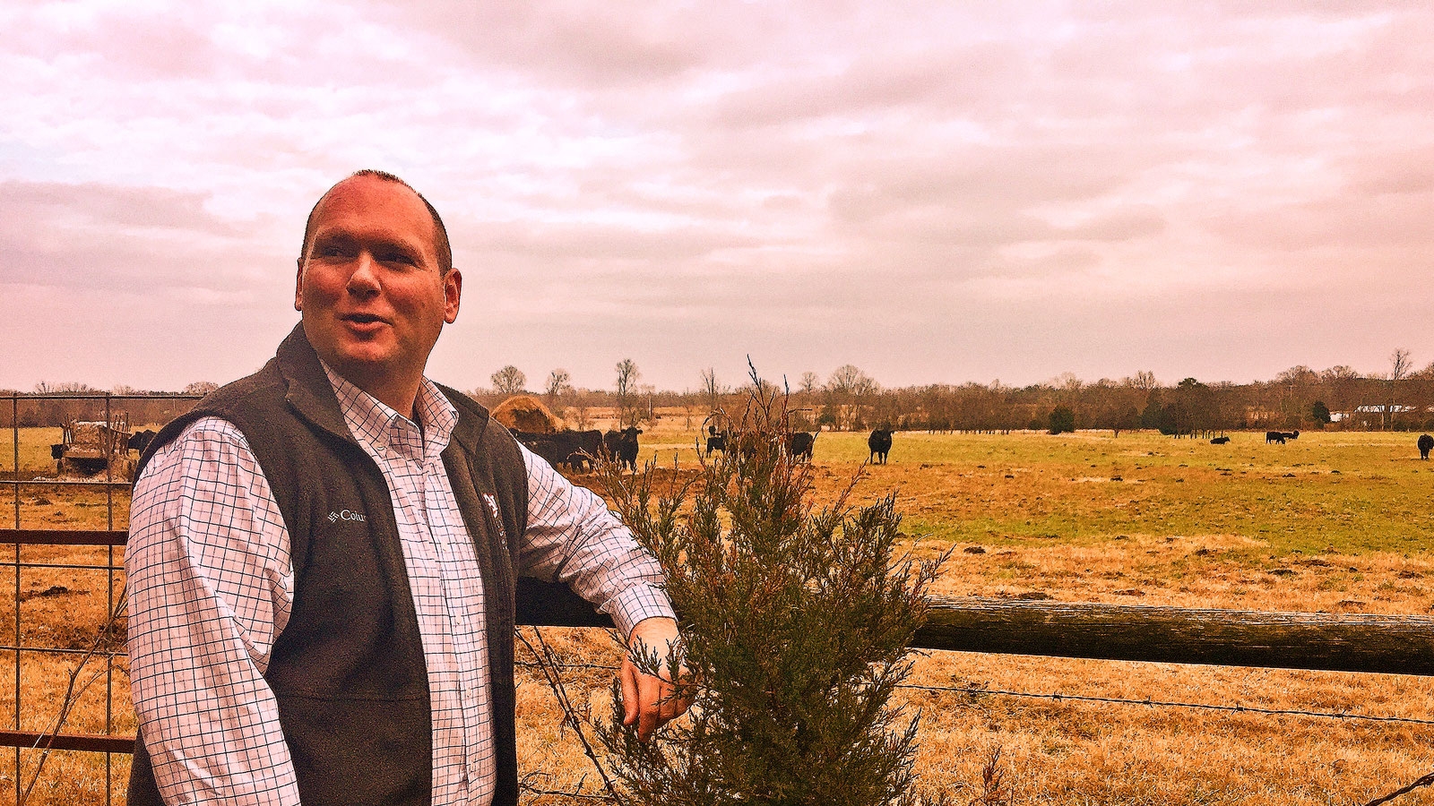 State Sen. Andrew Jones says he will seek re-election