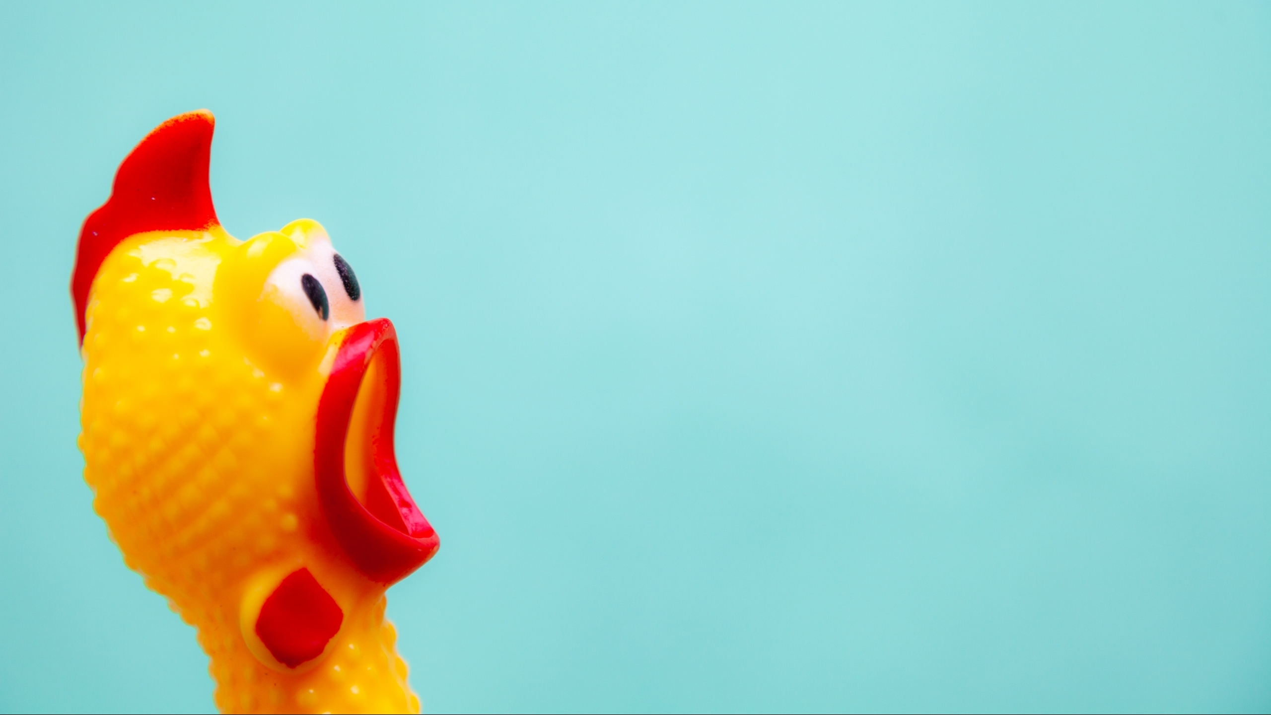 It’s chicken dancing season