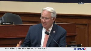 Jerry Carl: The lame duck Congress returns