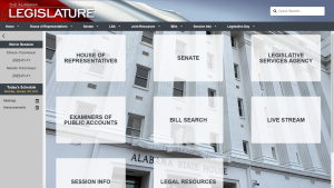 More accessibility to government this session