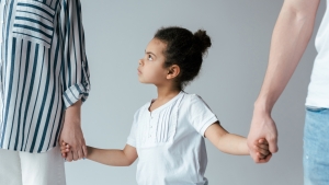 Lawmakers continue pursuit to push joint custody