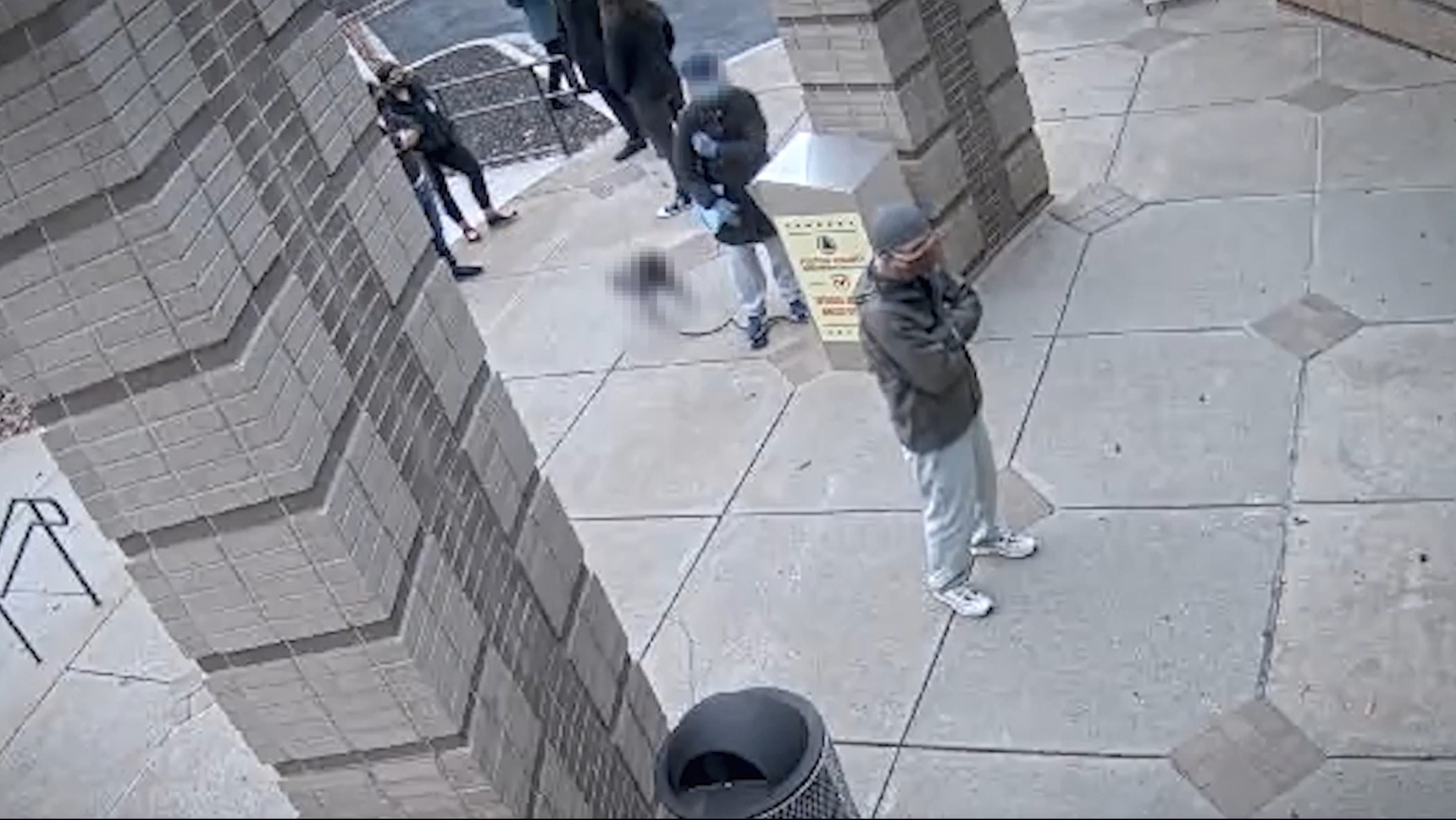 “2000 Mules” gives away its game – by blurring a dog