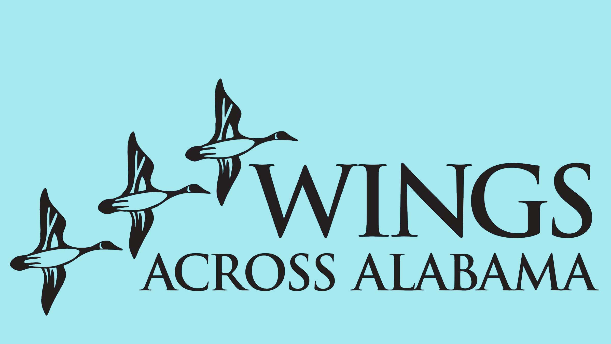 Alabama Warmline expands to 24/7 access to prevent mental health crises