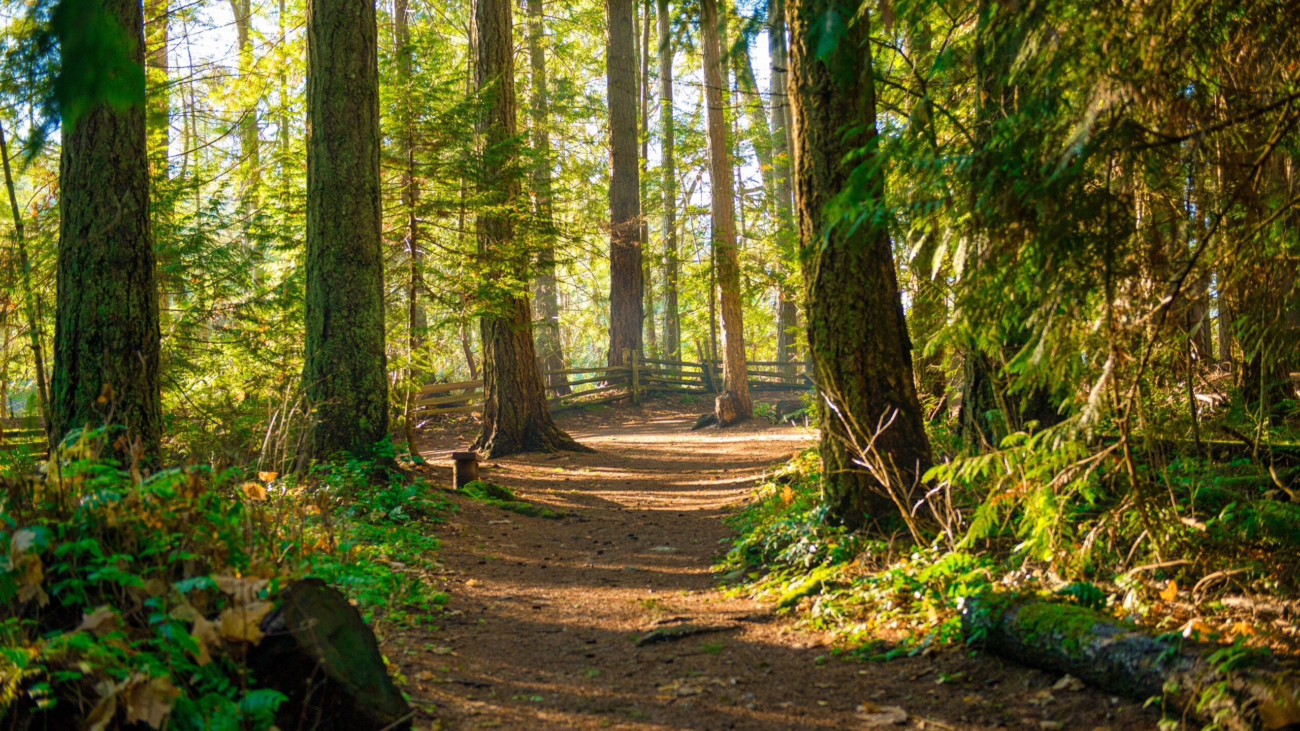 Governor awards $1.64 million to enhance outdoor recreation in Alabama