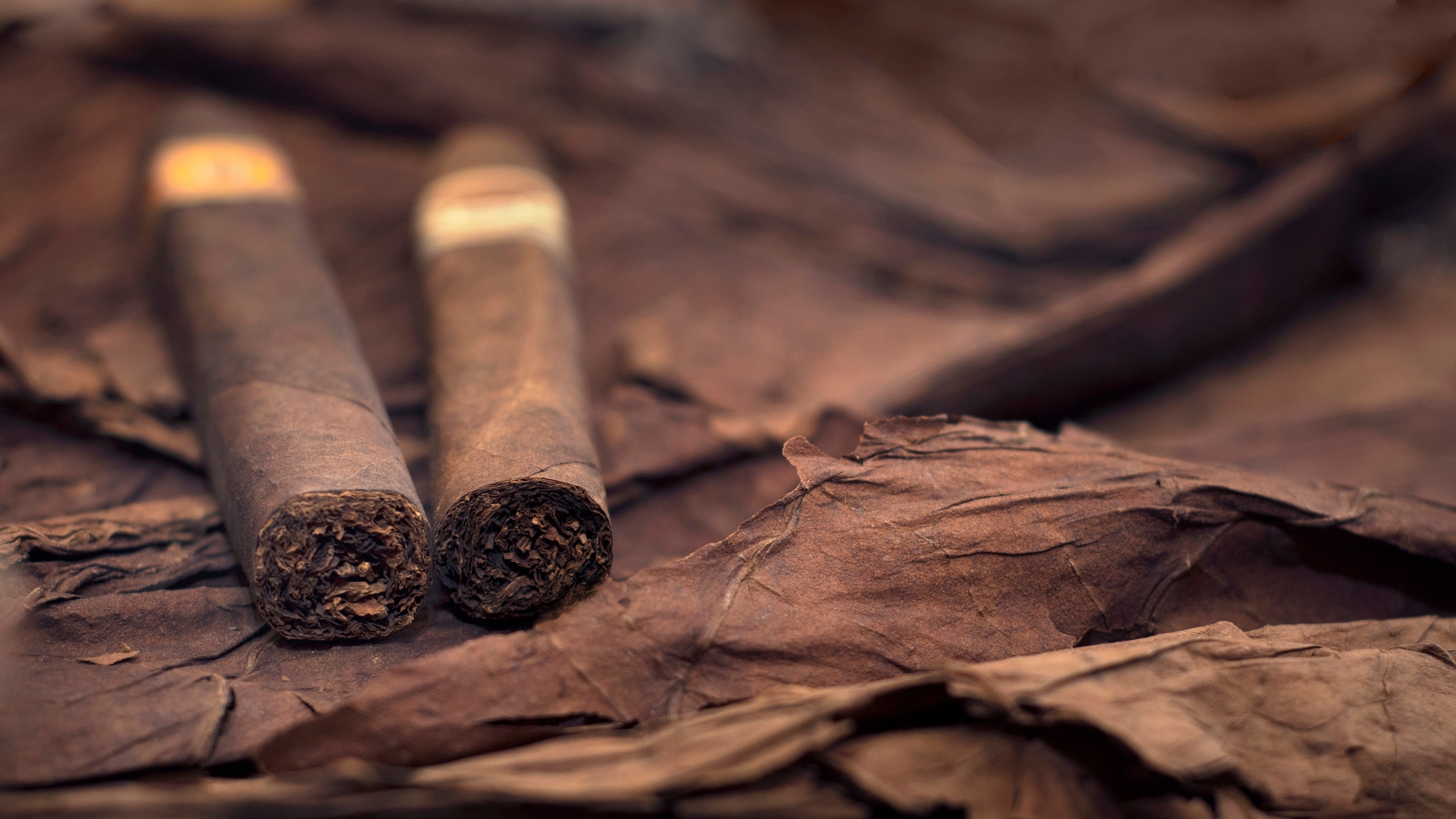 Flavored cigars threaten our children’s health