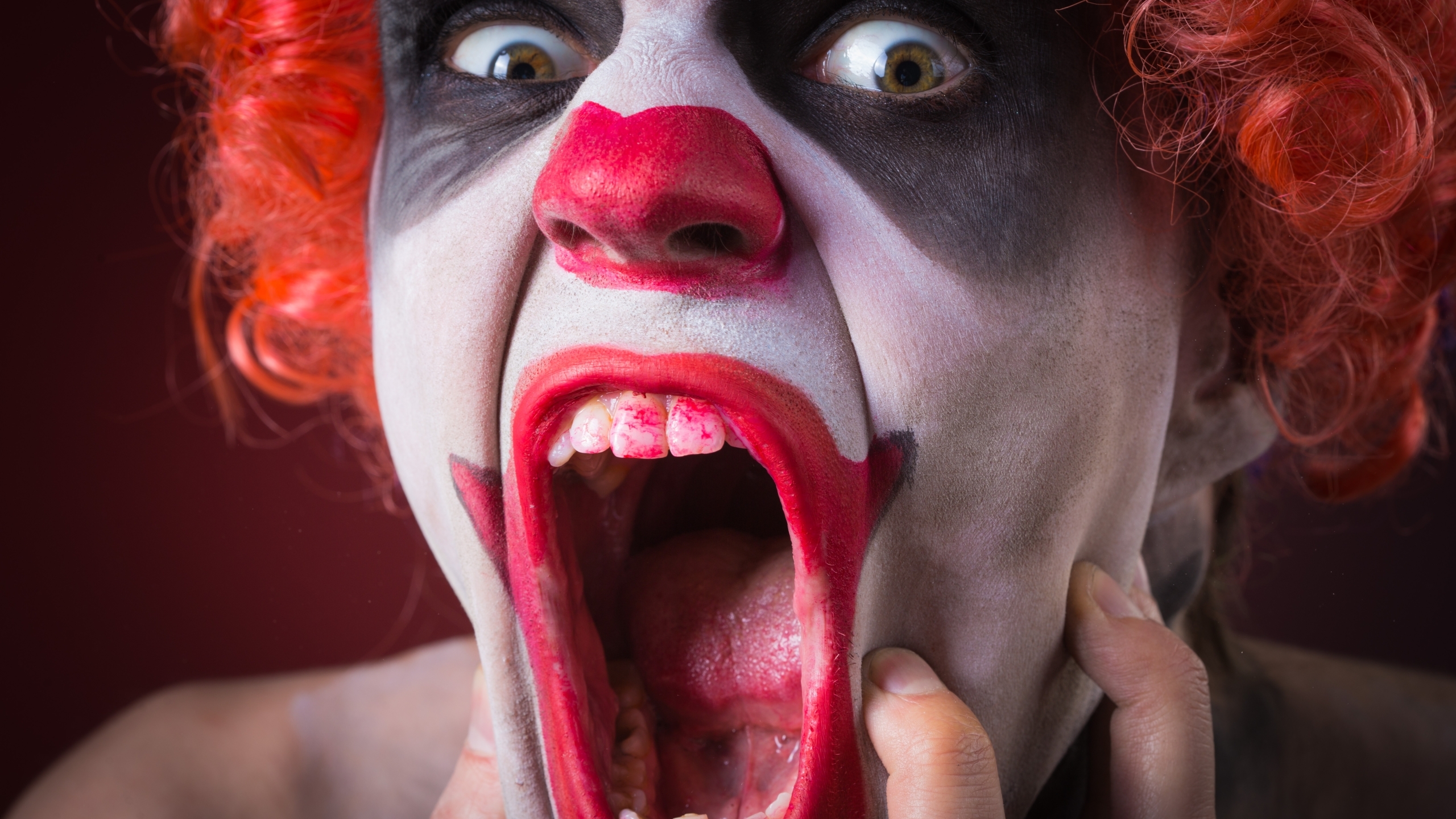 The aspirations of stupidity are killing us