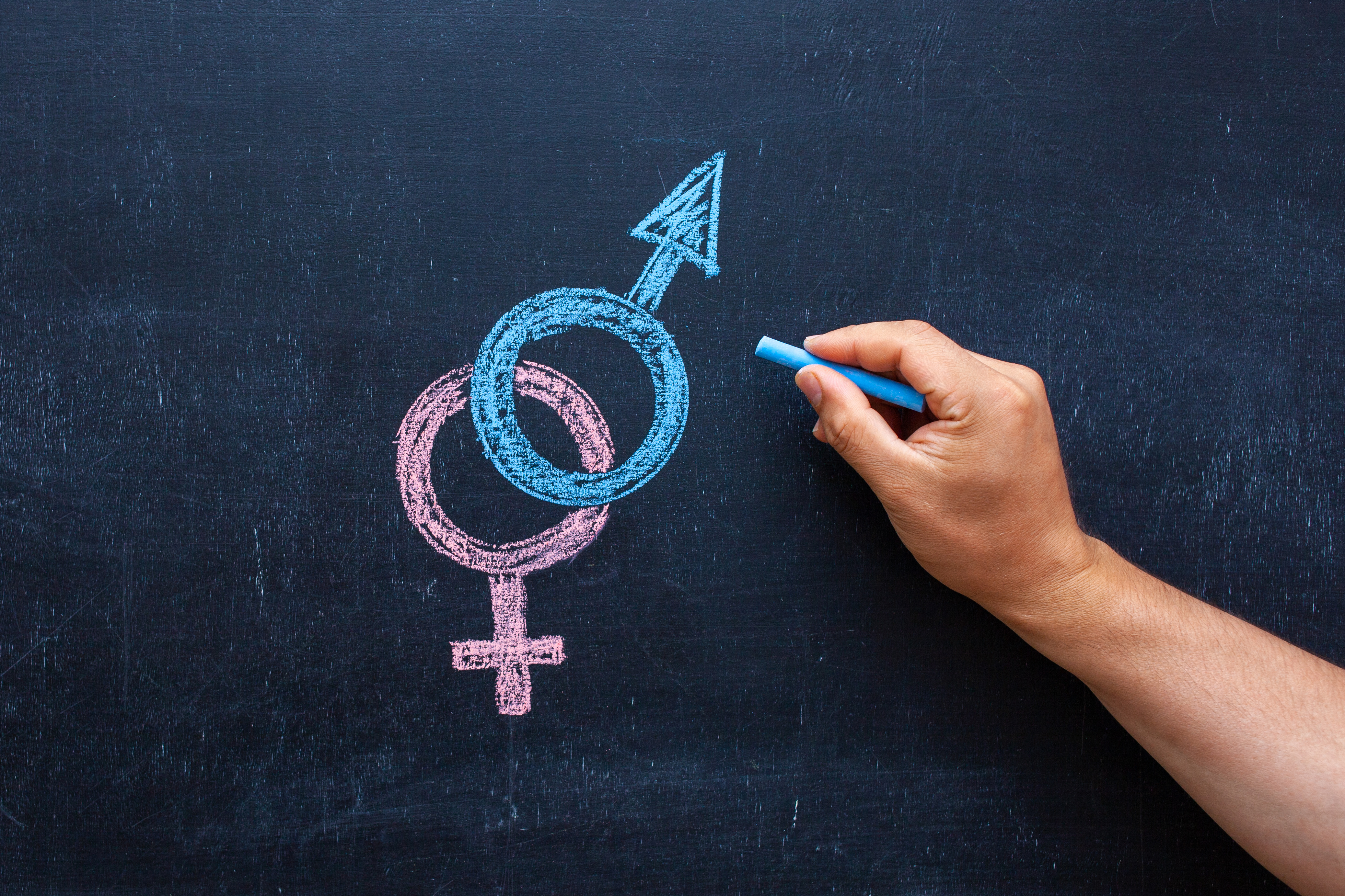 “What Is A Woman” bill passes committee