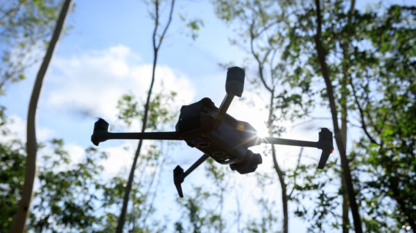 Flying drone in summer forest