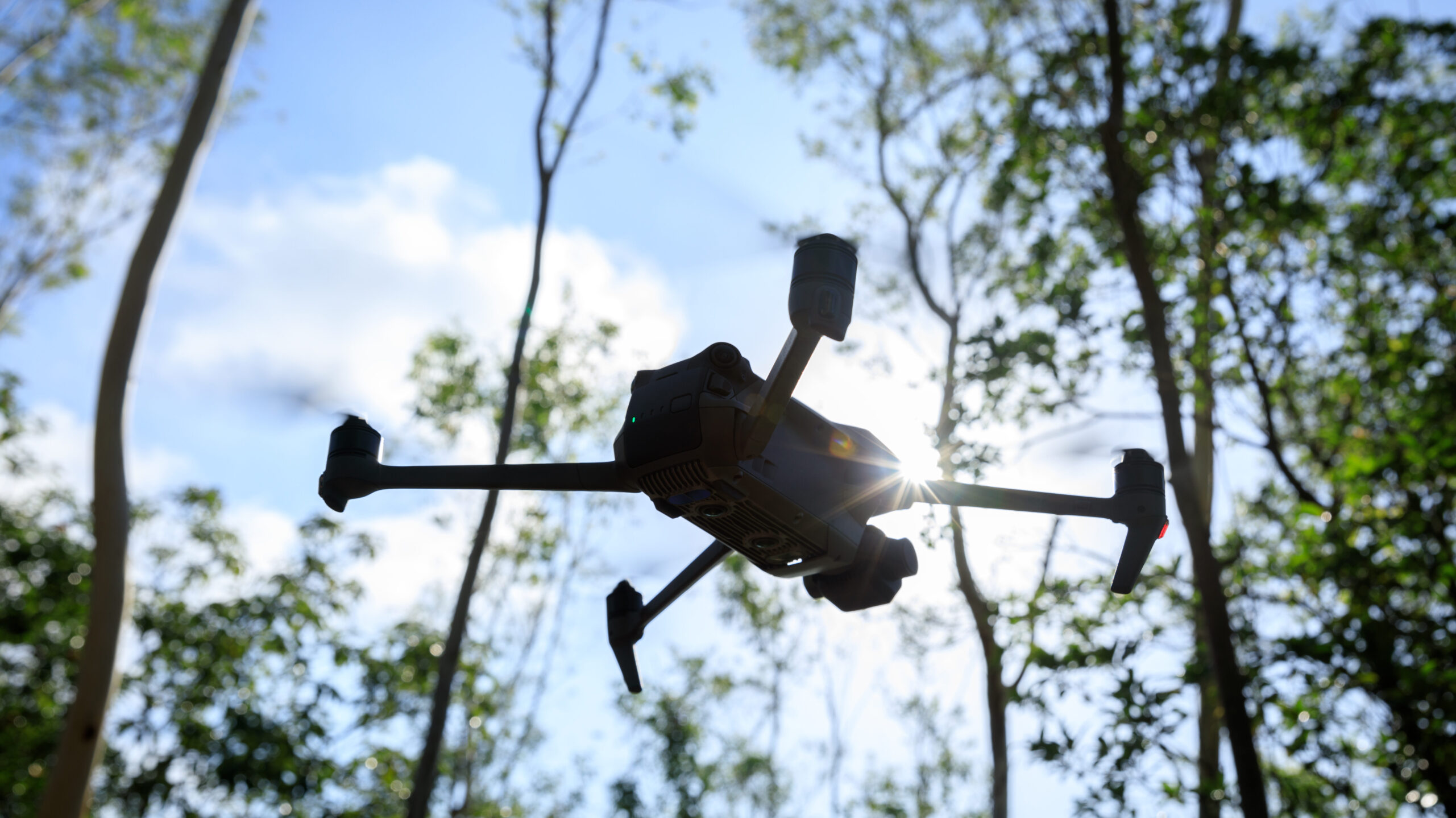 Flying drone in summer forest